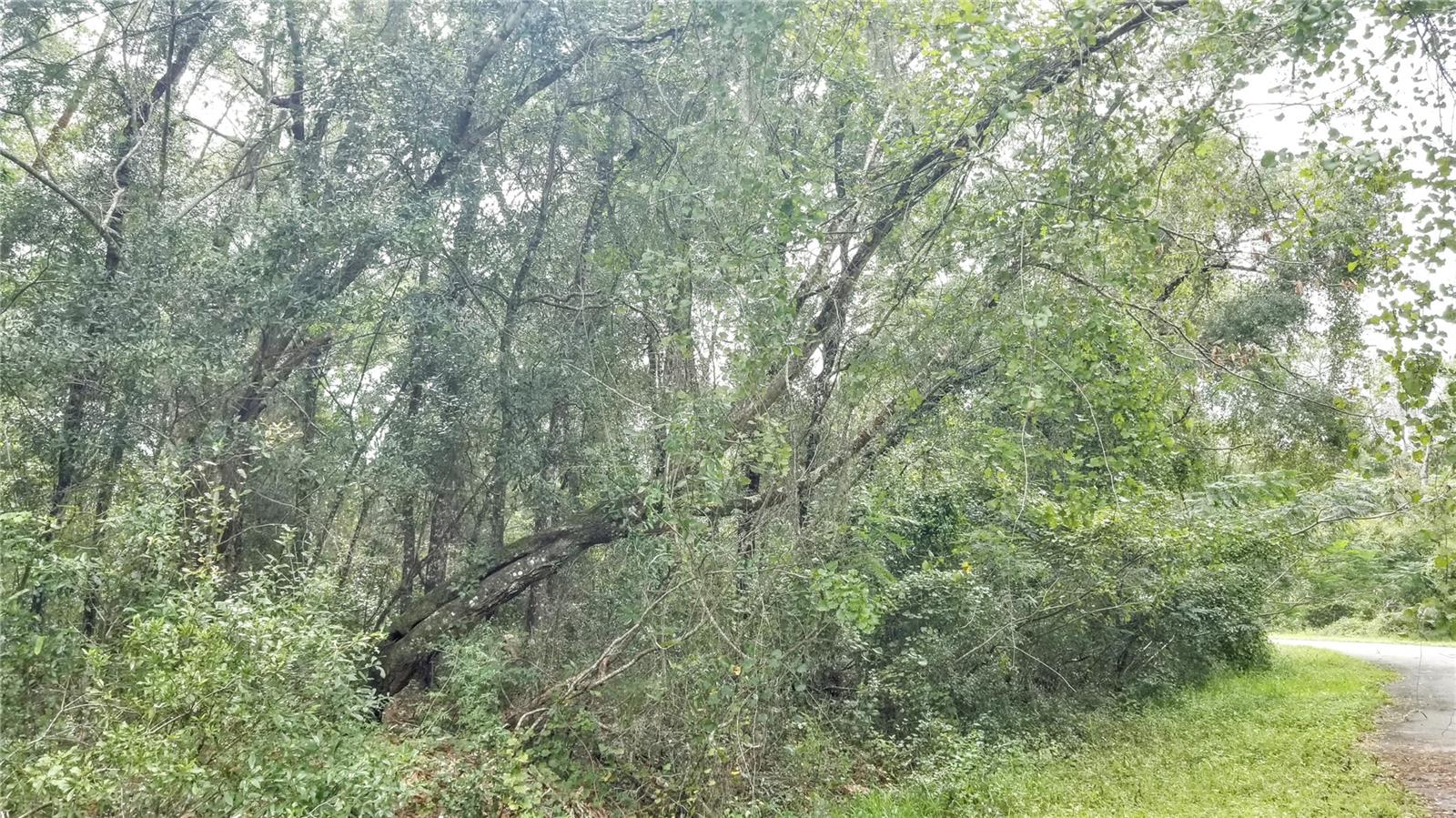 9775 N DEARING LOOP, CITRUS SPRINGS, FL, 34434