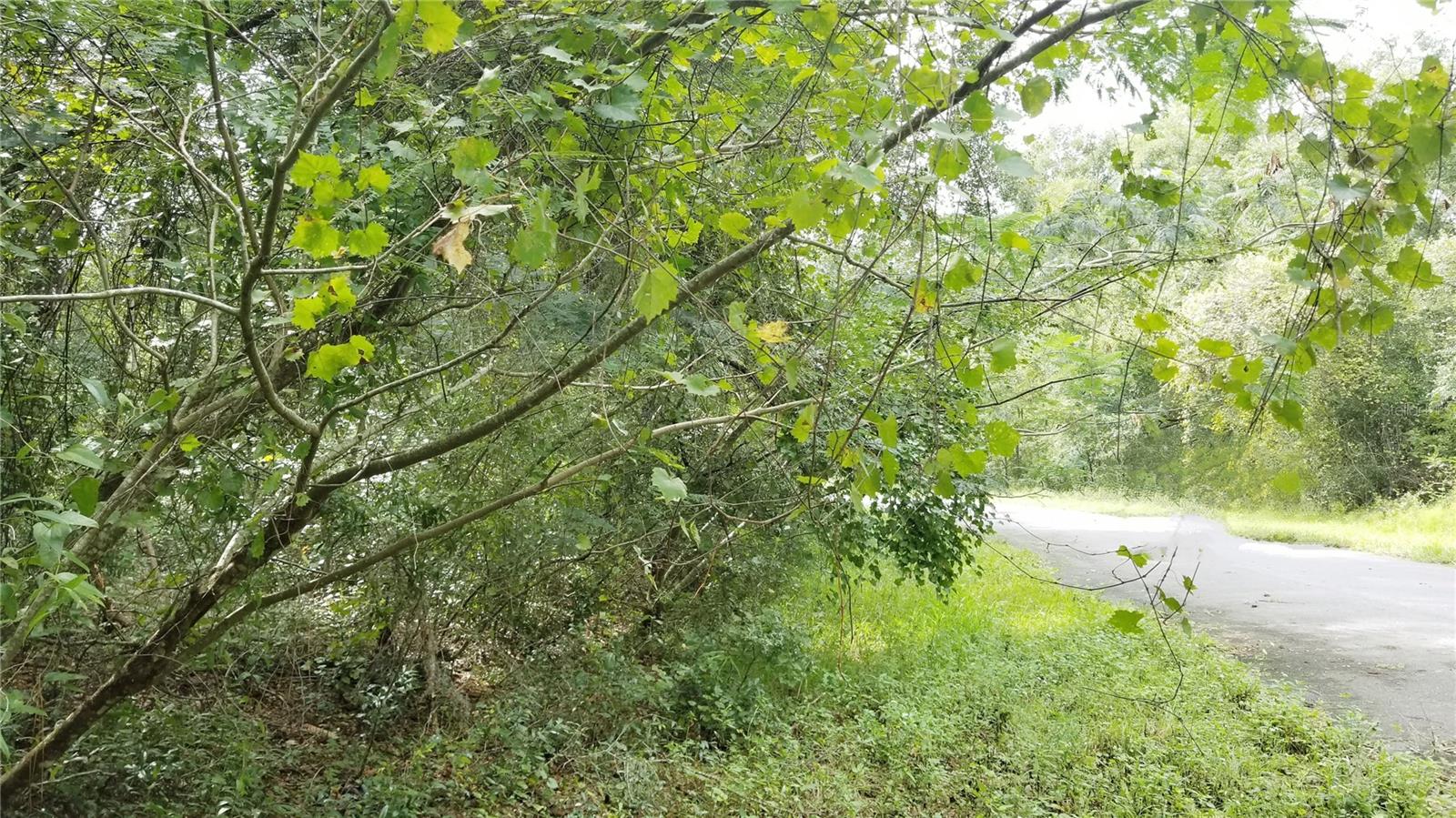 9775 N DEARING LOOP, CITRUS SPRINGS, FL, 34434