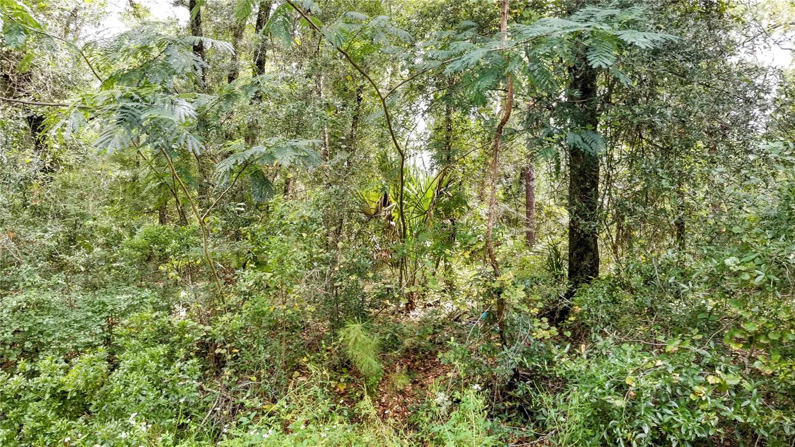 9775 N DEARING LOOP, CITRUS SPRINGS, FL, 34434