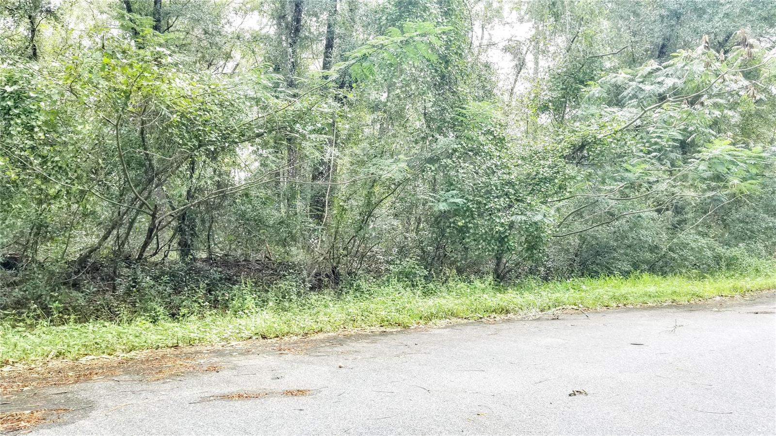 9775 N DEARING LOOP, CITRUS SPRINGS, FL, 34434