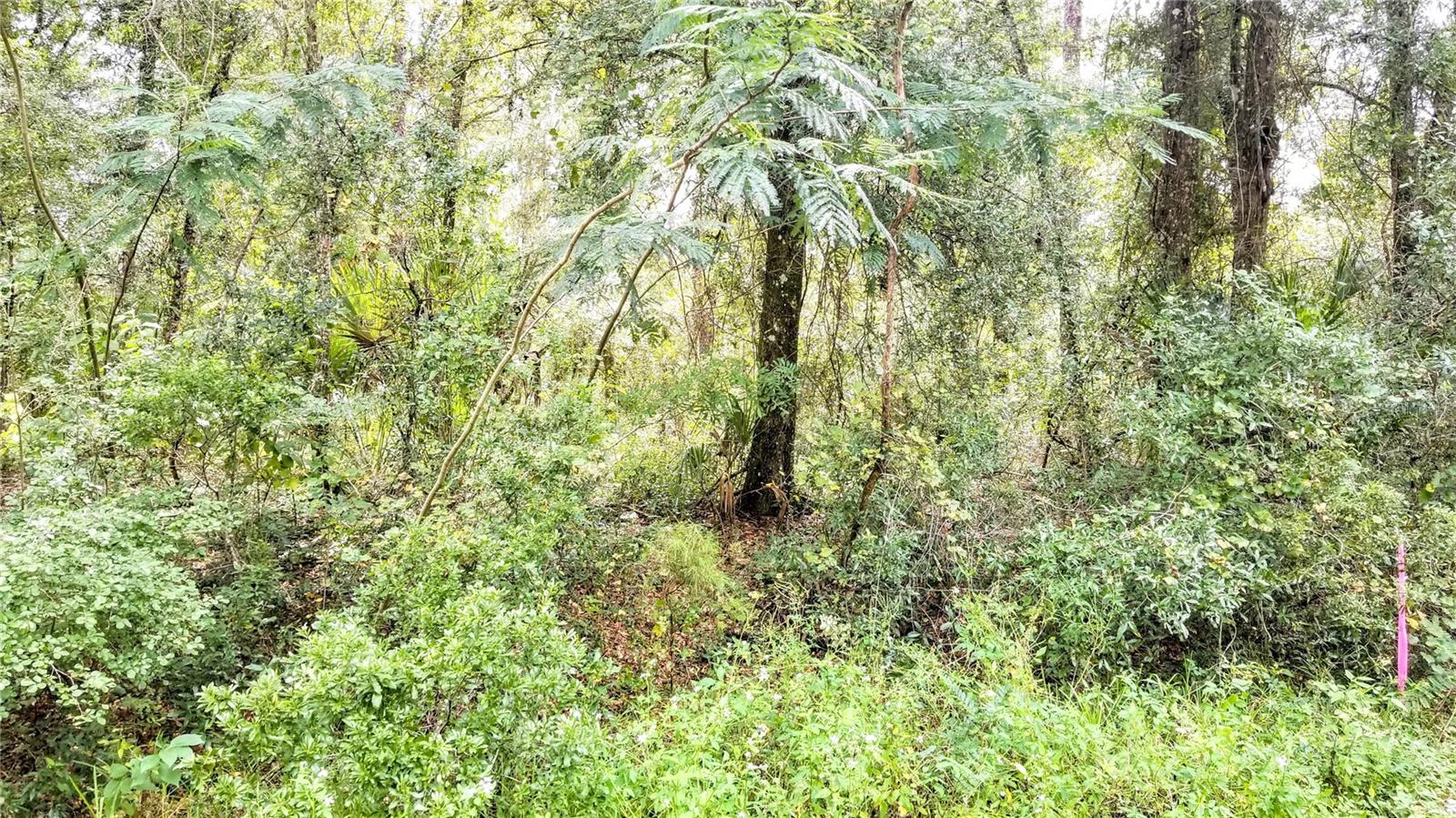 9775 N DEARING LOOP, CITRUS SPRINGS, FL, 34434