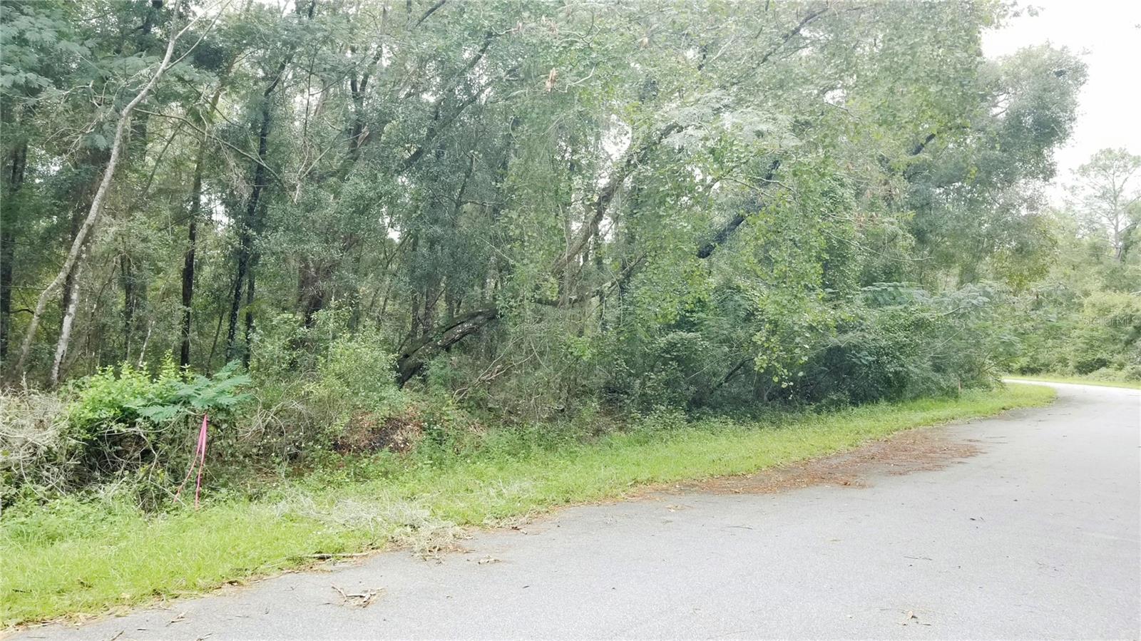 9775 N DEARING LOOP, CITRUS SPRINGS, FL, 34434