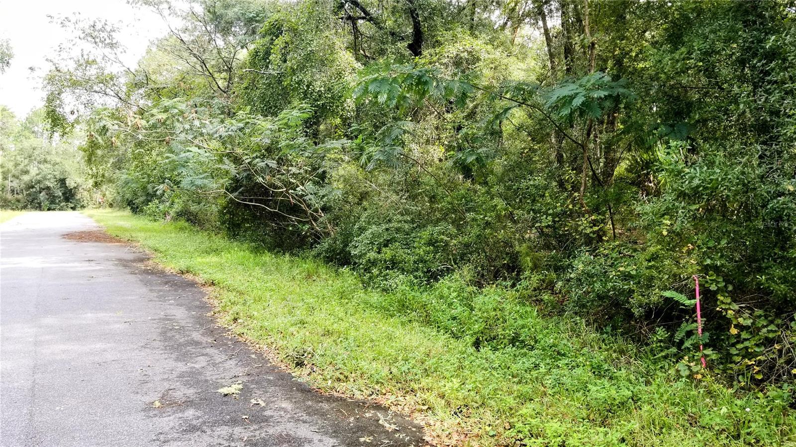 9775 N DEARING LOOP, CITRUS SPRINGS, FL, 34434