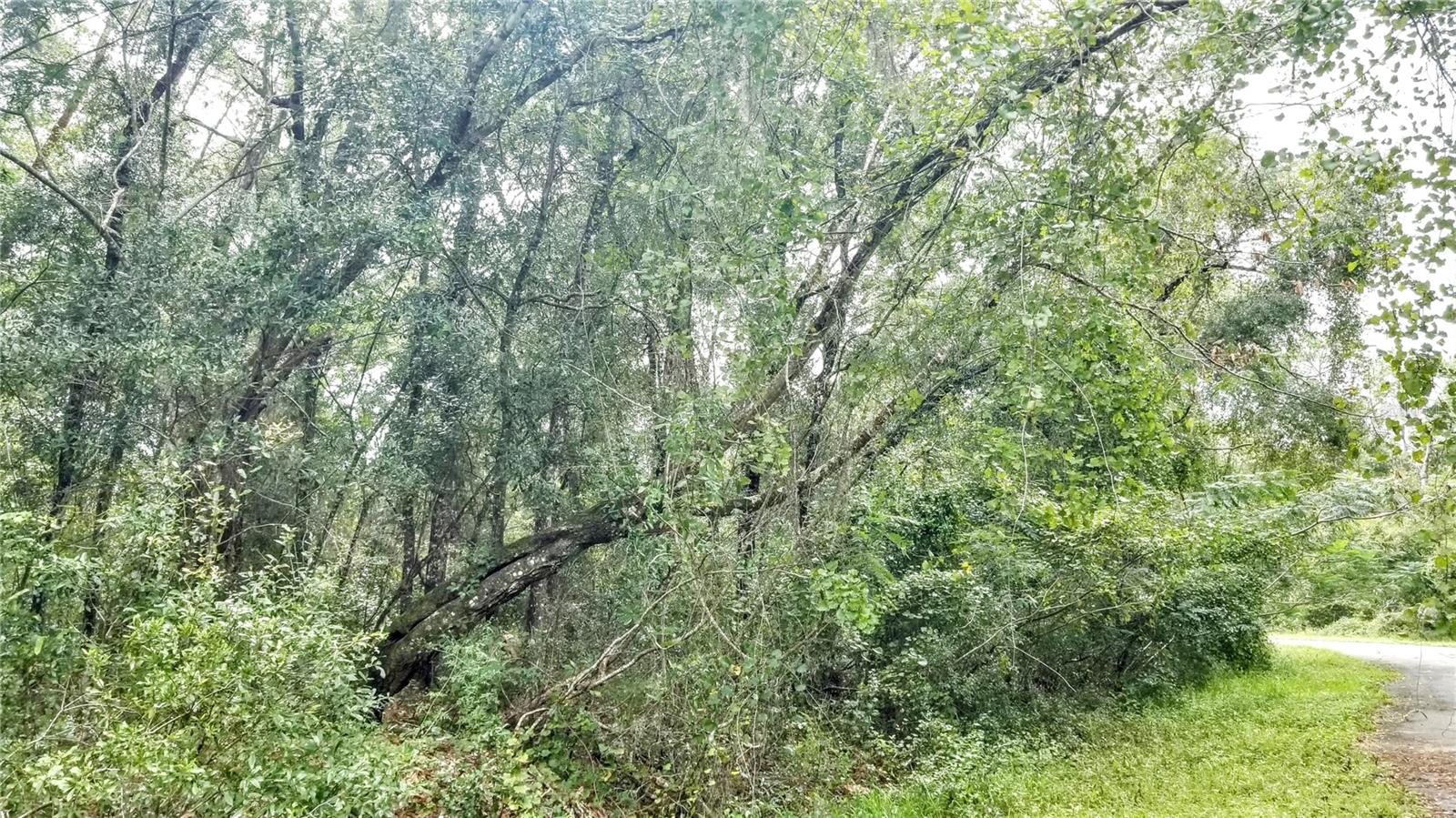 9775 N DEARING LOOP, CITRUS SPRINGS, FL, 34434