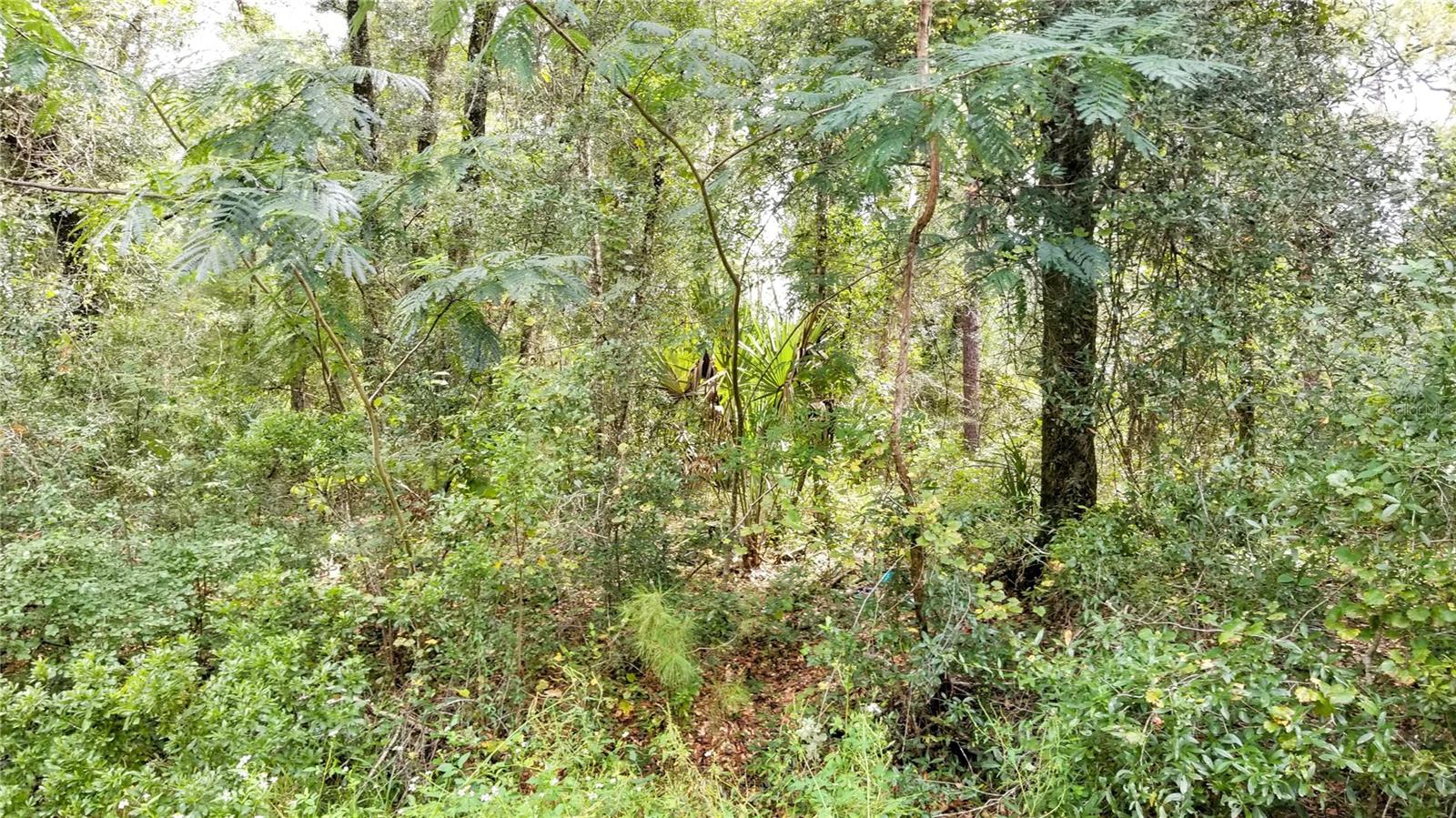 9775 N DEARING LOOP, CITRUS SPRINGS, FL, 34434