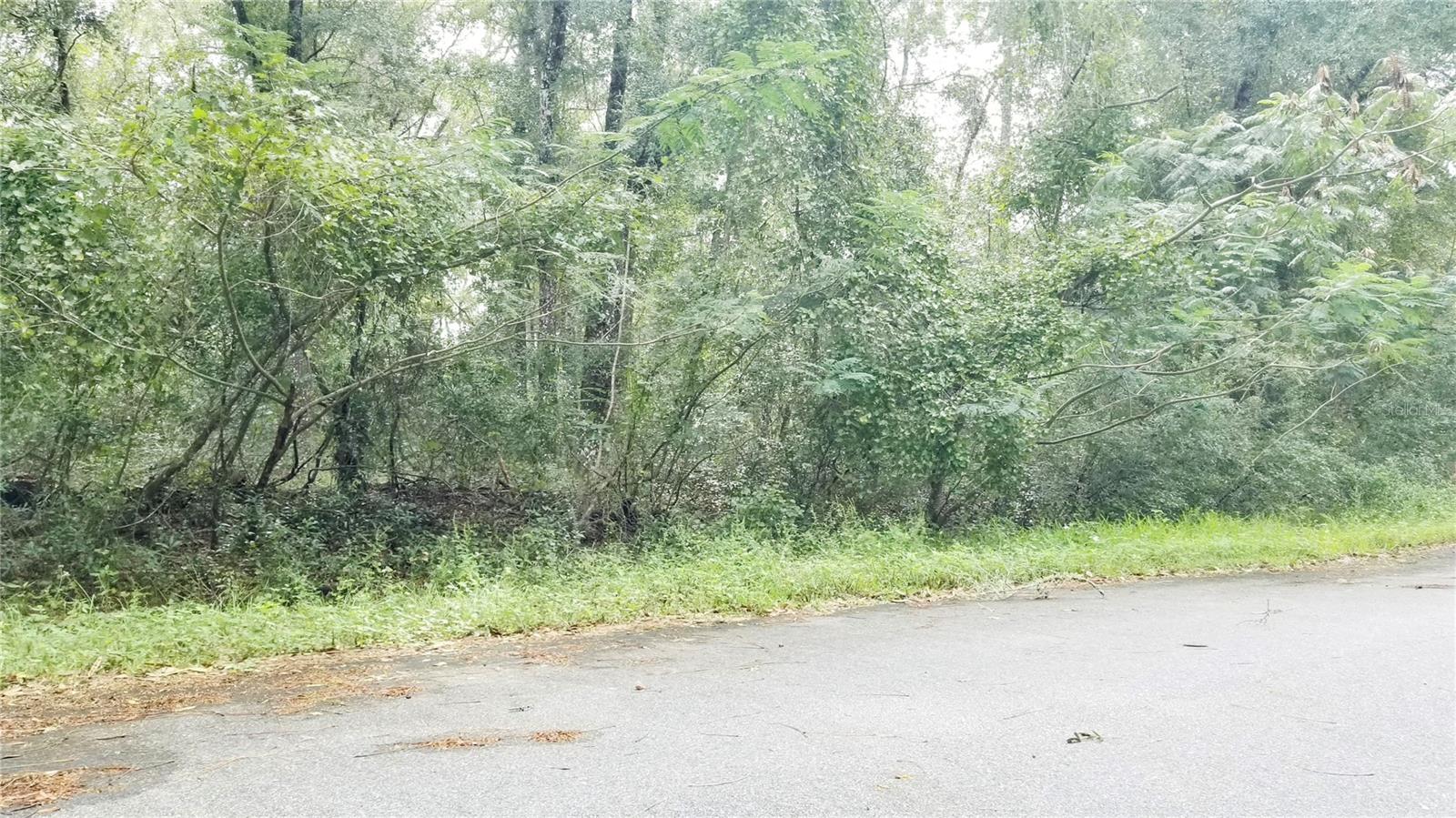 9775 N DEARING LOOP, CITRUS SPRINGS, FL, 34434