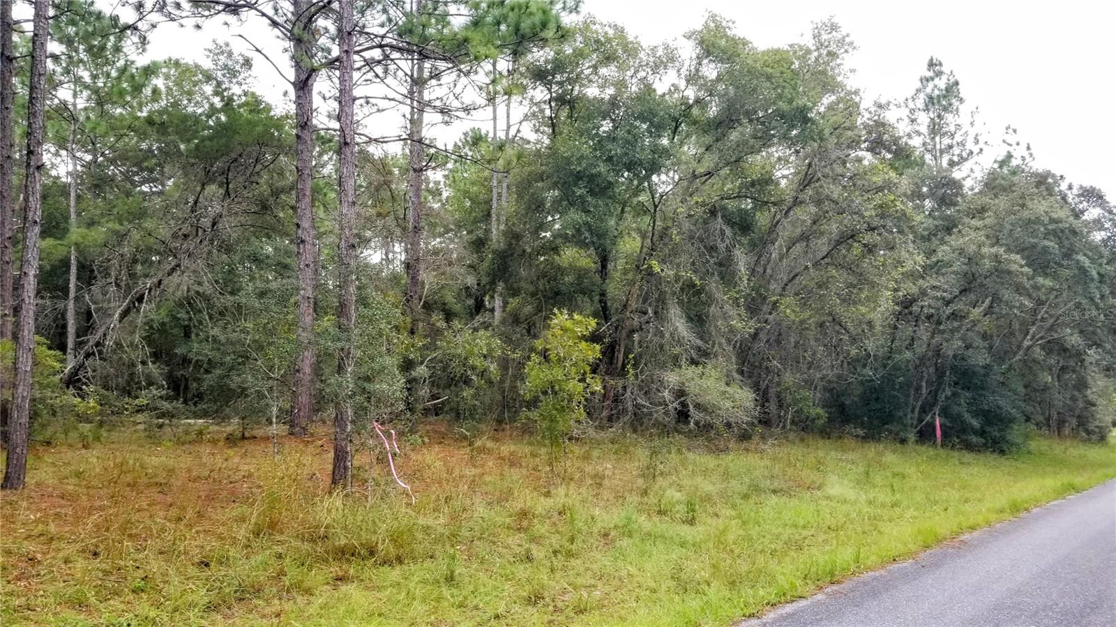 9239 N IRONDALE RD, CITRUS SPRINGS, FL, 34434