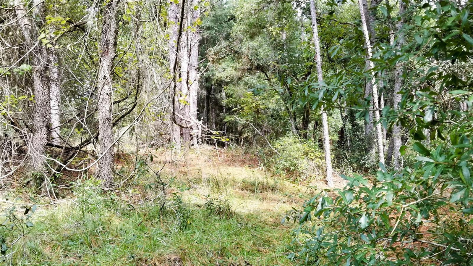 9239 N IRONDALE RD, CITRUS SPRINGS, FL, 34434