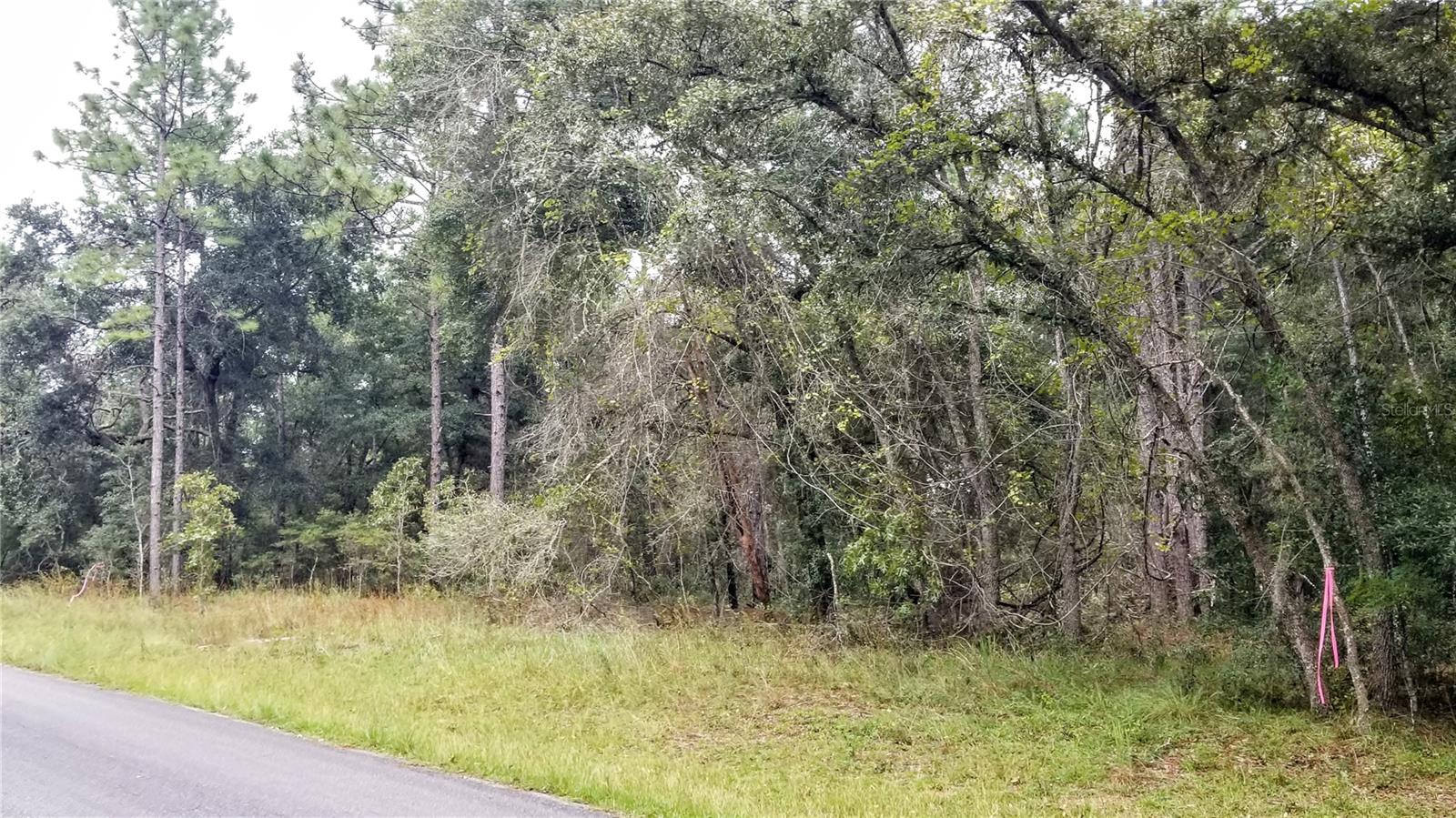 9239 N IRONDALE RD, CITRUS SPRINGS, FL, 34434