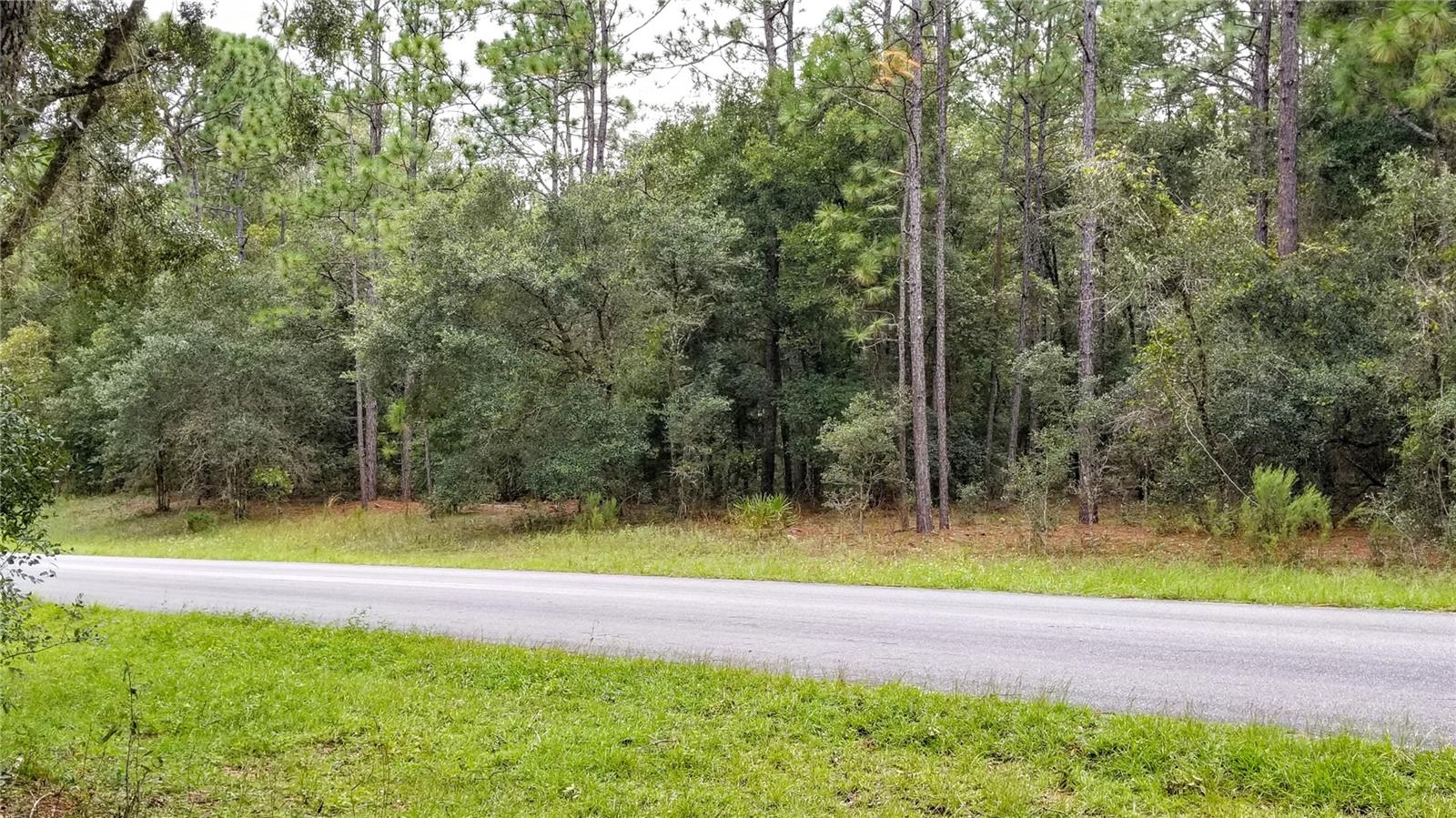 9239 N IRONDALE RD, CITRUS SPRINGS, FL, 34434