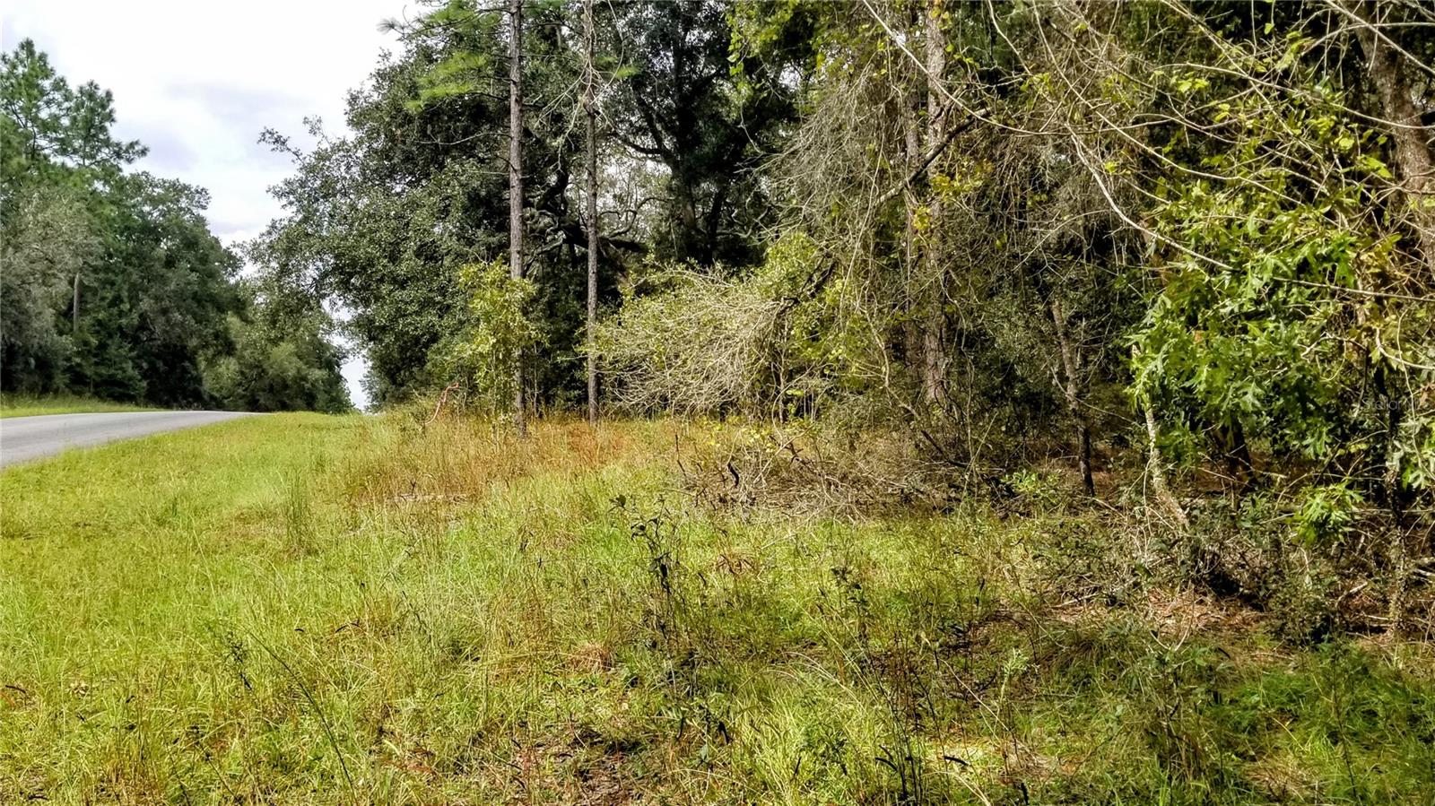 9239 N IRONDALE RD, CITRUS SPRINGS, FL, 34434