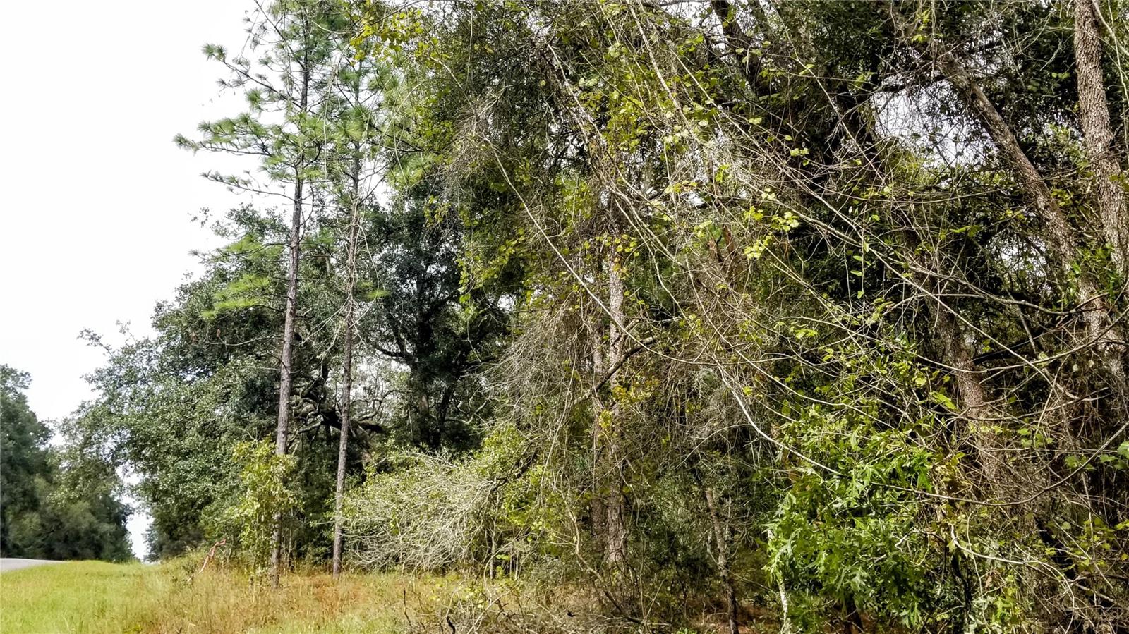 9239 N IRONDALE RD, CITRUS SPRINGS, FL, 34434