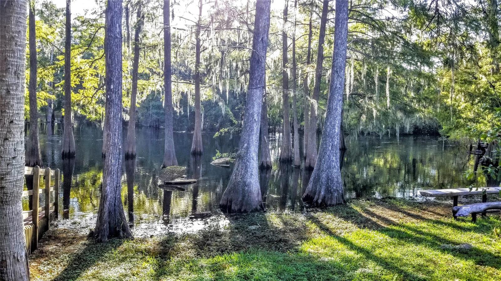 9239 N IRONDALE RD, CITRUS SPRINGS, FL, 34434