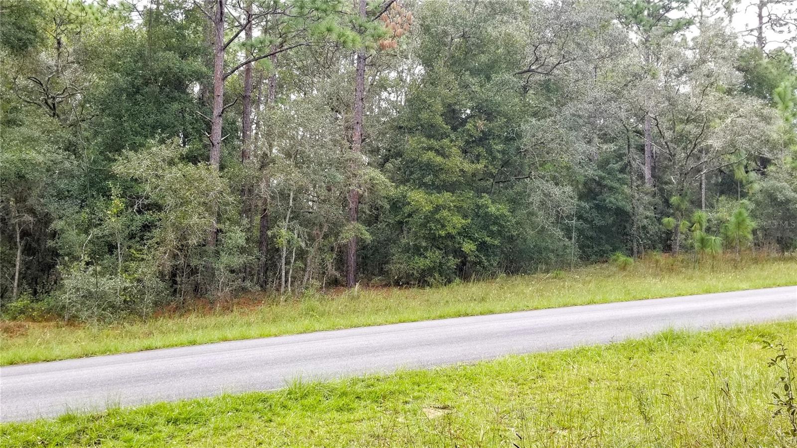 9239 N IRONDALE RD, CITRUS SPRINGS, FL, 34434