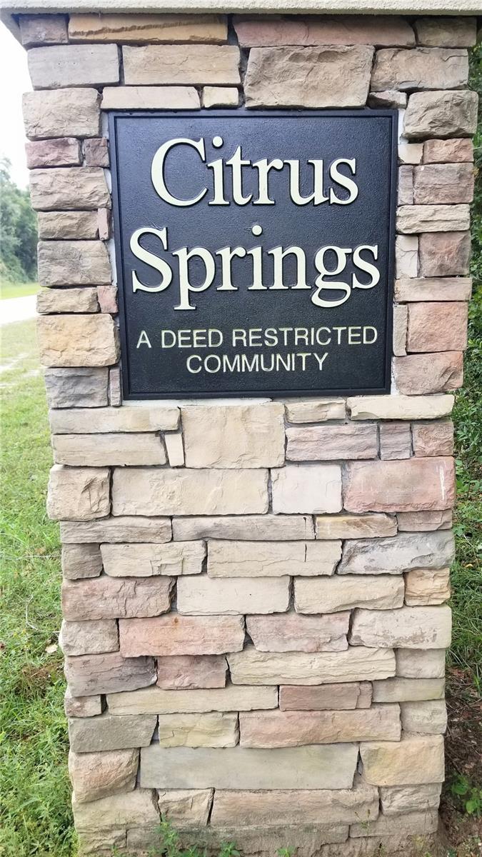 9239 N IRONDALE RD, CITRUS SPRINGS, FL, 34434