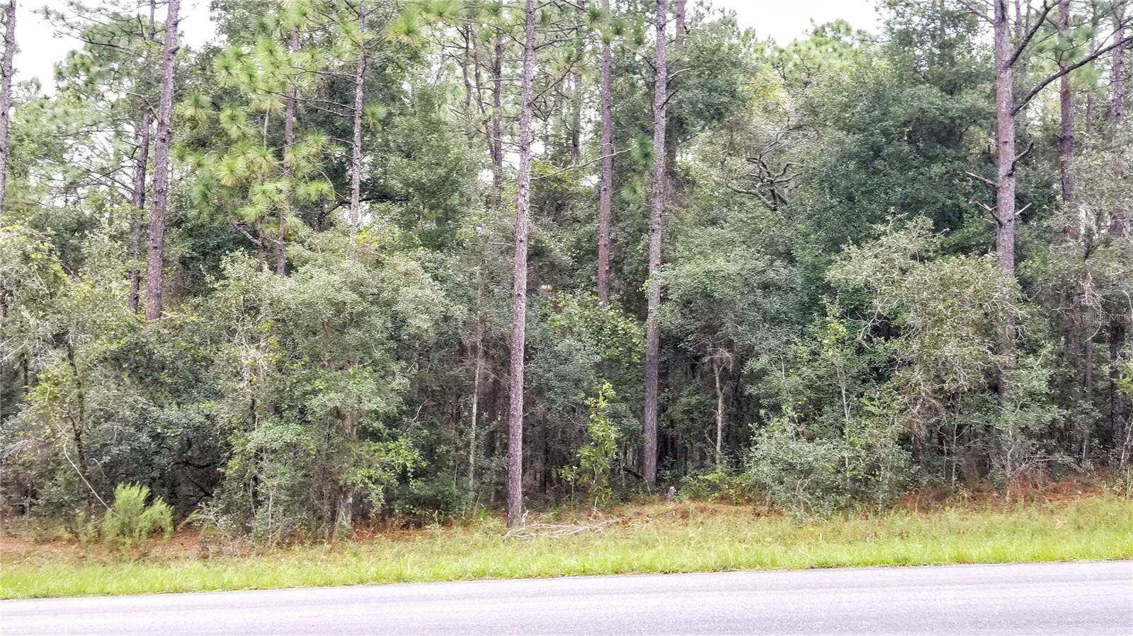 9239 N IRONDALE RD, CITRUS SPRINGS, FL, 34434