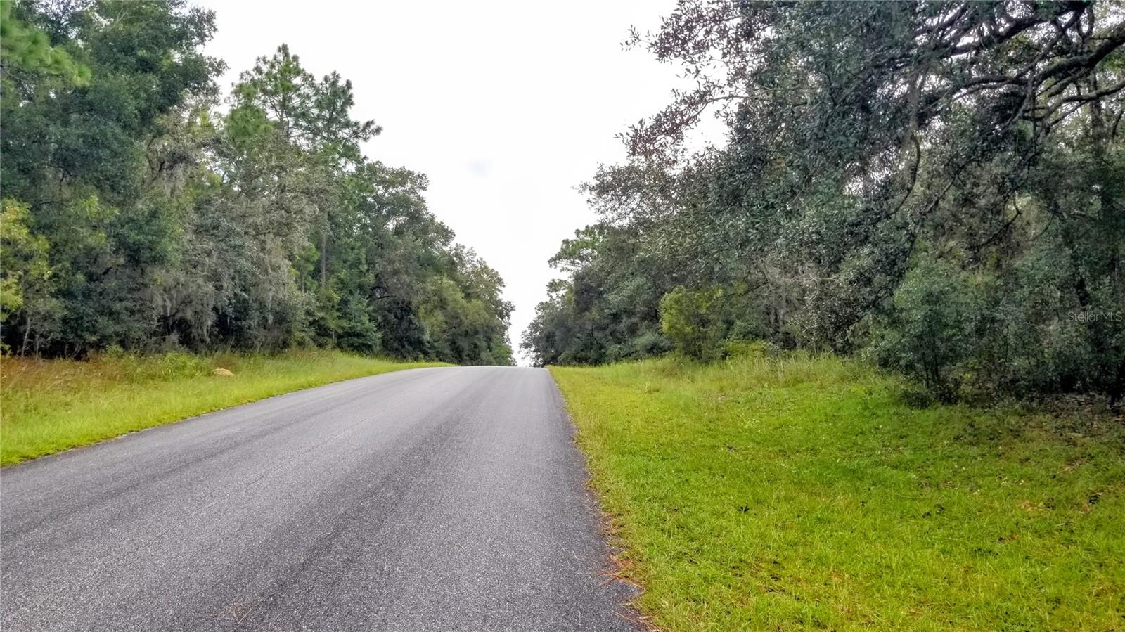 9239 N IRONDALE RD, CITRUS SPRINGS, FL, 34434