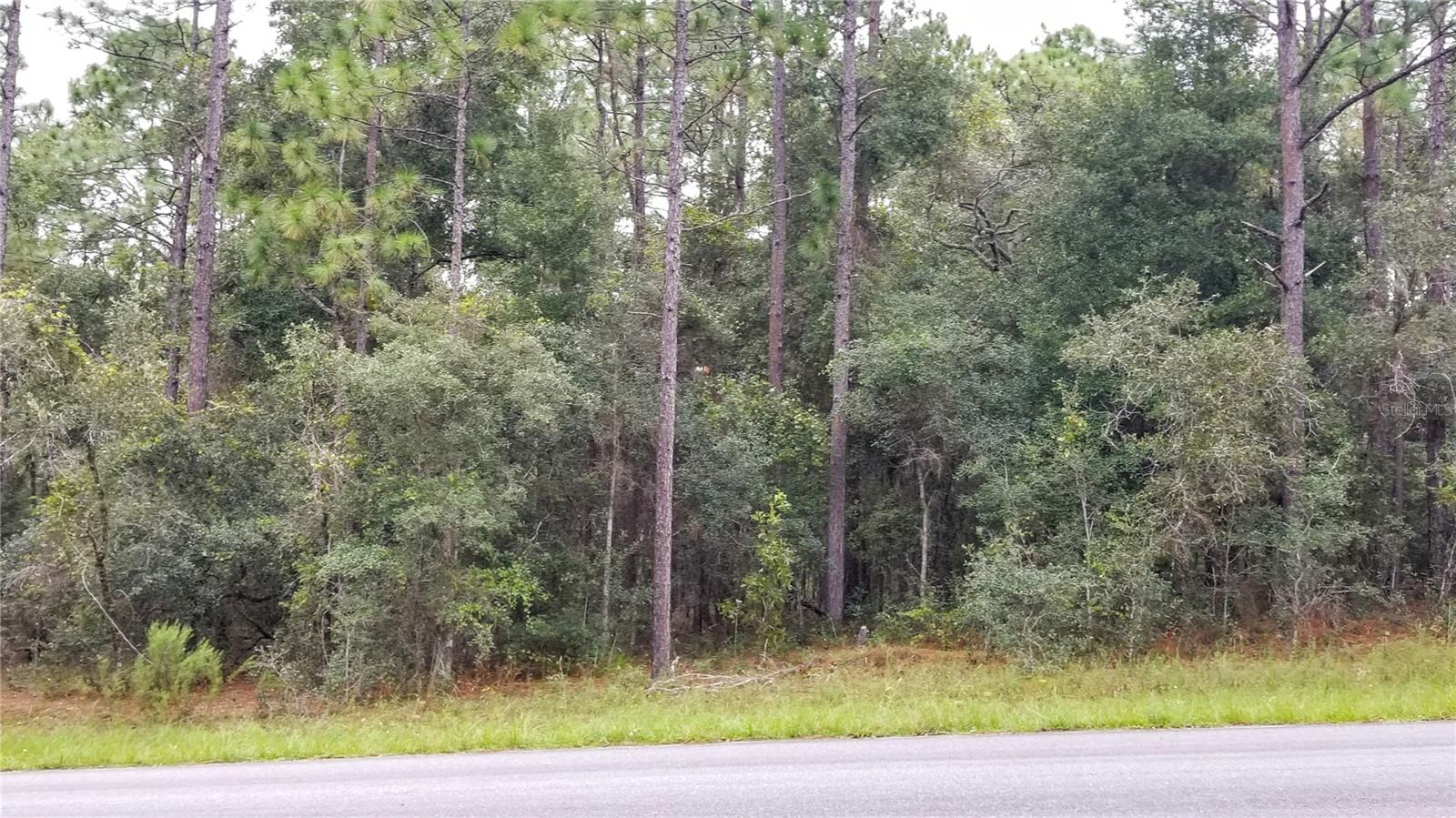 9239 N IRONDALE RD, CITRUS SPRINGS, FL, 34434