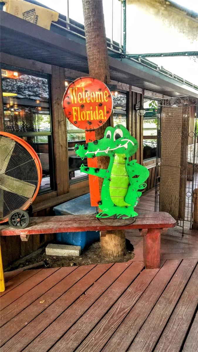 9239 N IRONDALE RD, CITRUS SPRINGS, FL, 34434