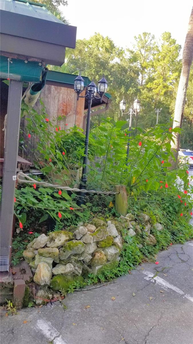 9239 N IRONDALE RD, CITRUS SPRINGS, FL, 34434