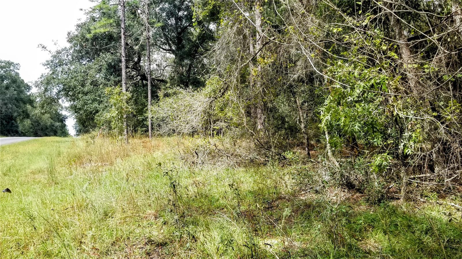 9239 N IRONDALE RD, CITRUS SPRINGS, FL, 34434