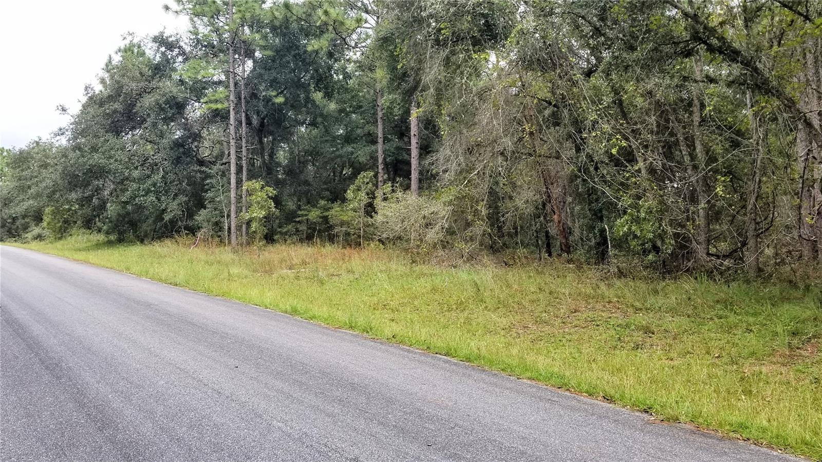 9239 N IRONDALE RD, CITRUS SPRINGS, FL, 34434