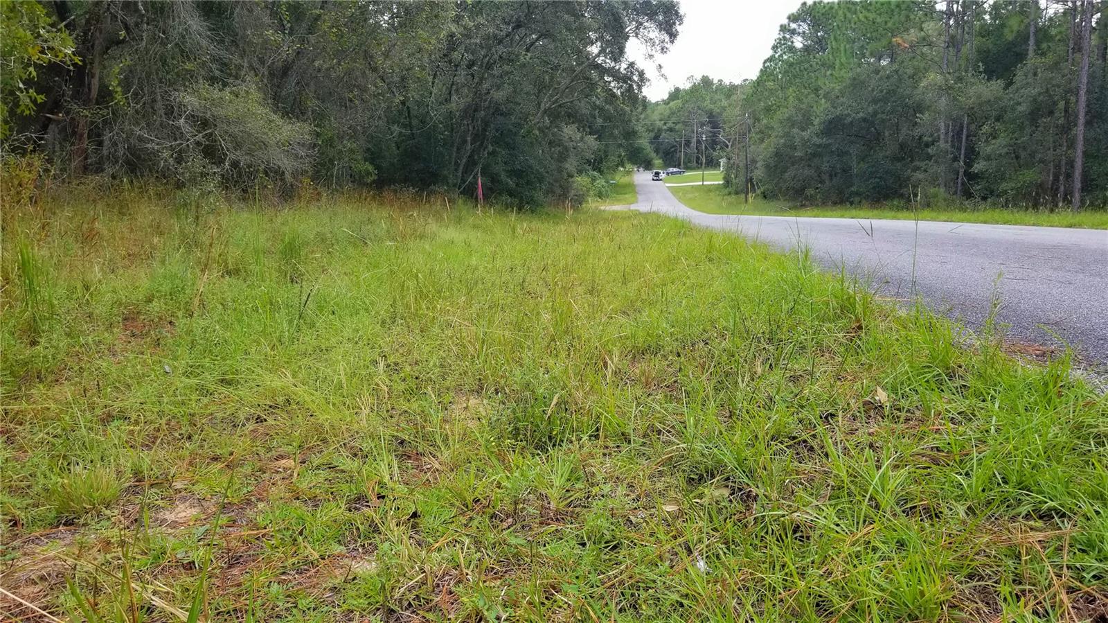 9239 N IRONDALE RD, CITRUS SPRINGS, FL, 34434