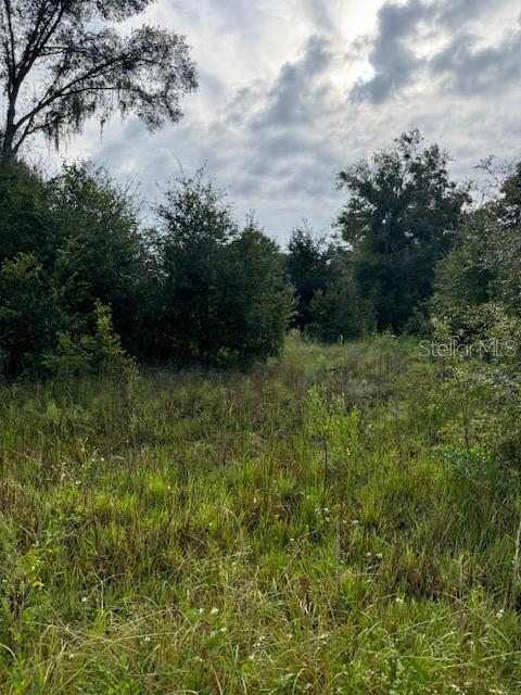 SPORTSMAN TRL, LAKELAND, FL, 33809