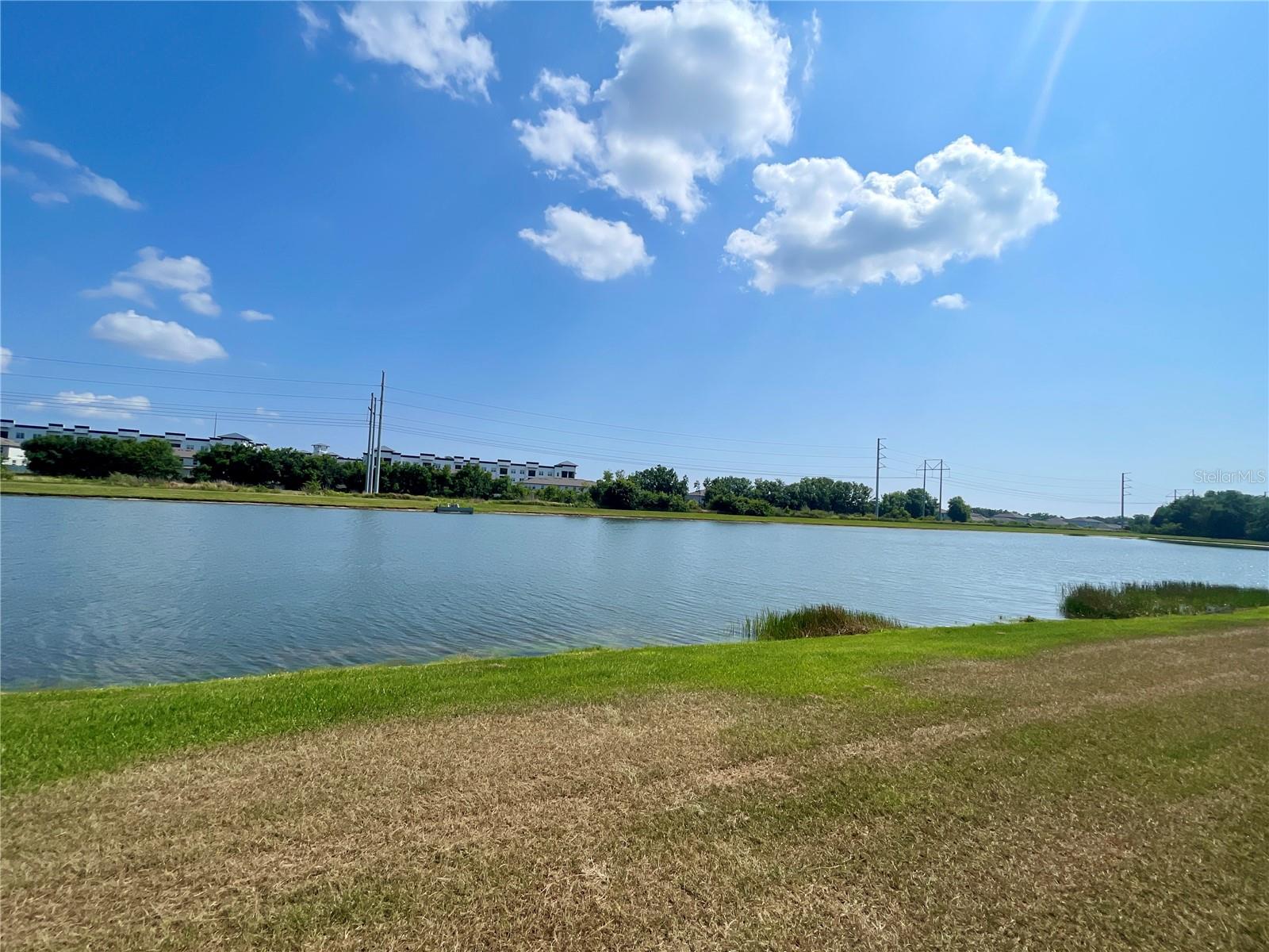10411 ALDER GREEN DR, RIVERVIEW, FL, 33578