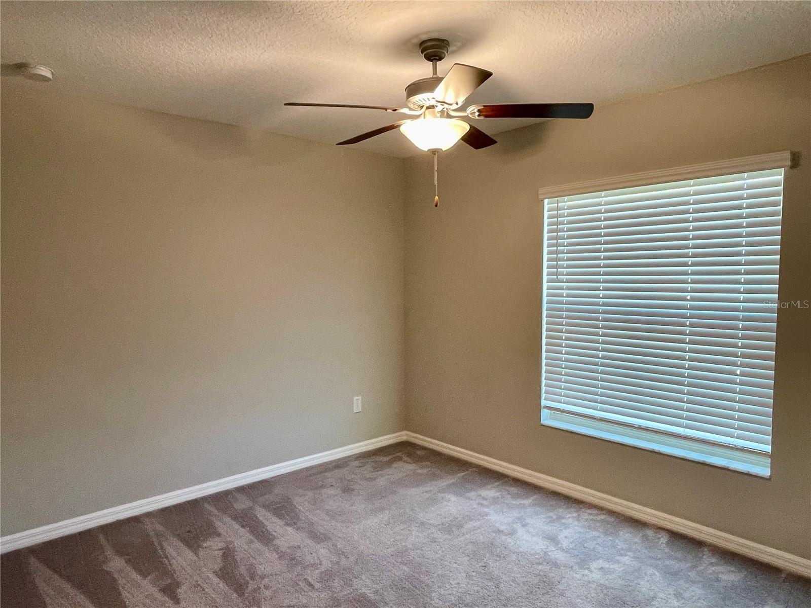 10411 ALDER GREEN DR, RIVERVIEW, FL, 33578