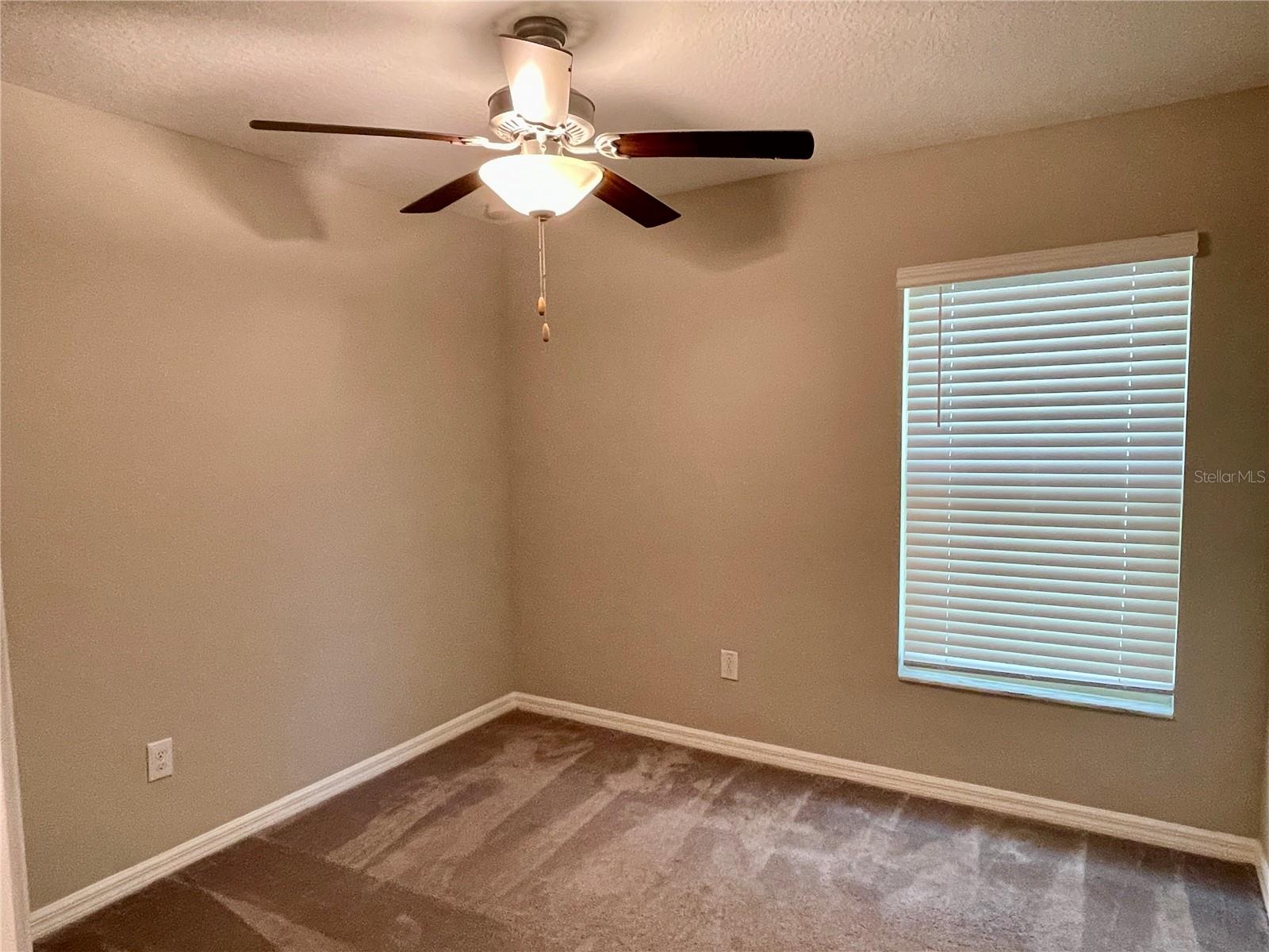 10411 ALDER GREEN DR, RIVERVIEW, FL, 33578