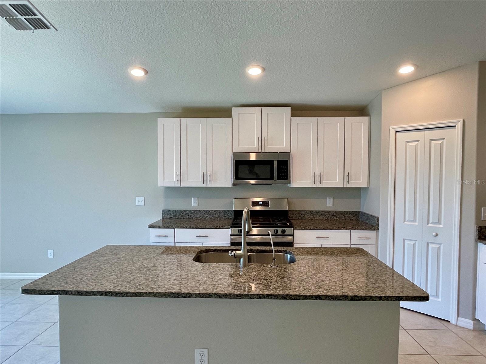 10411 ALDER GREEN DR, RIVERVIEW, FL, 33578