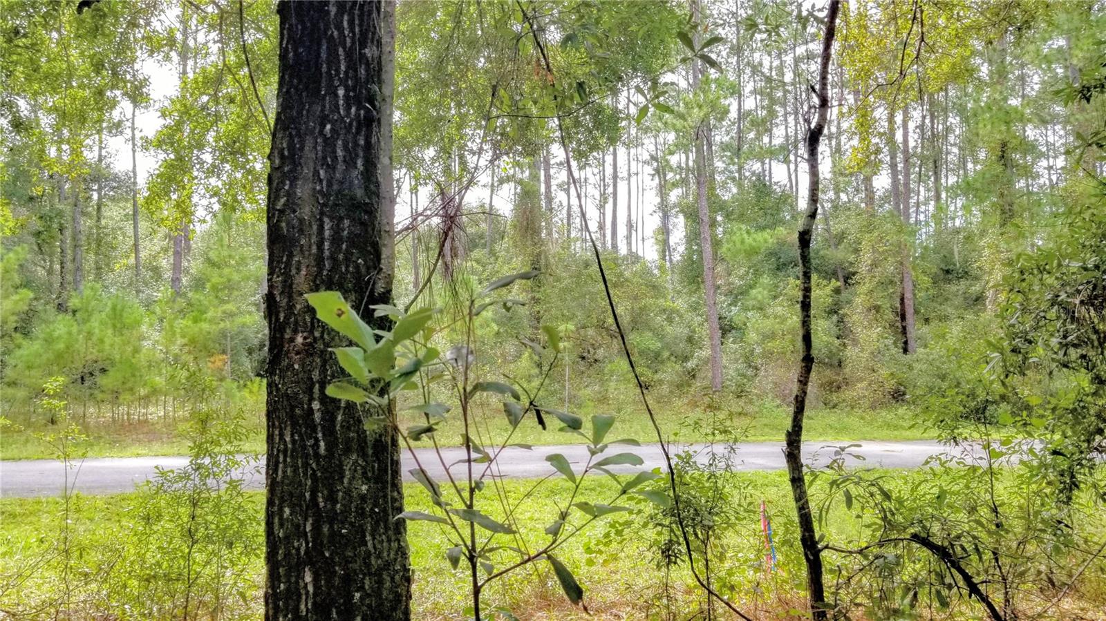 8881 N IRONDALE RD, CITRUS SPRINGS, FL, 34434