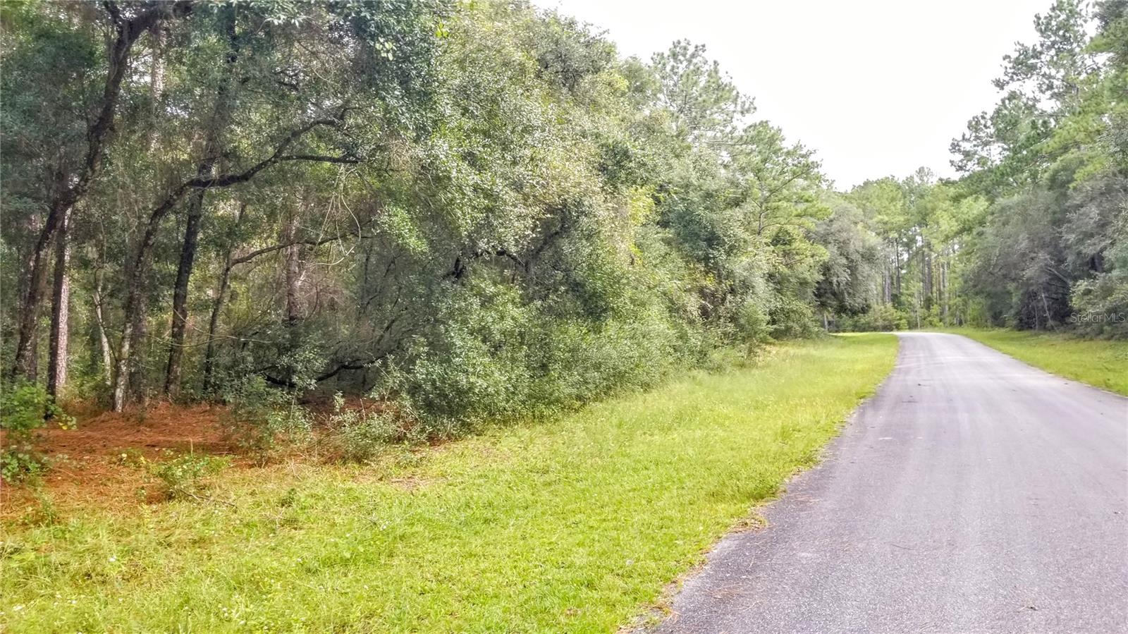 8881 N IRONDALE RD, CITRUS SPRINGS, FL, 34434