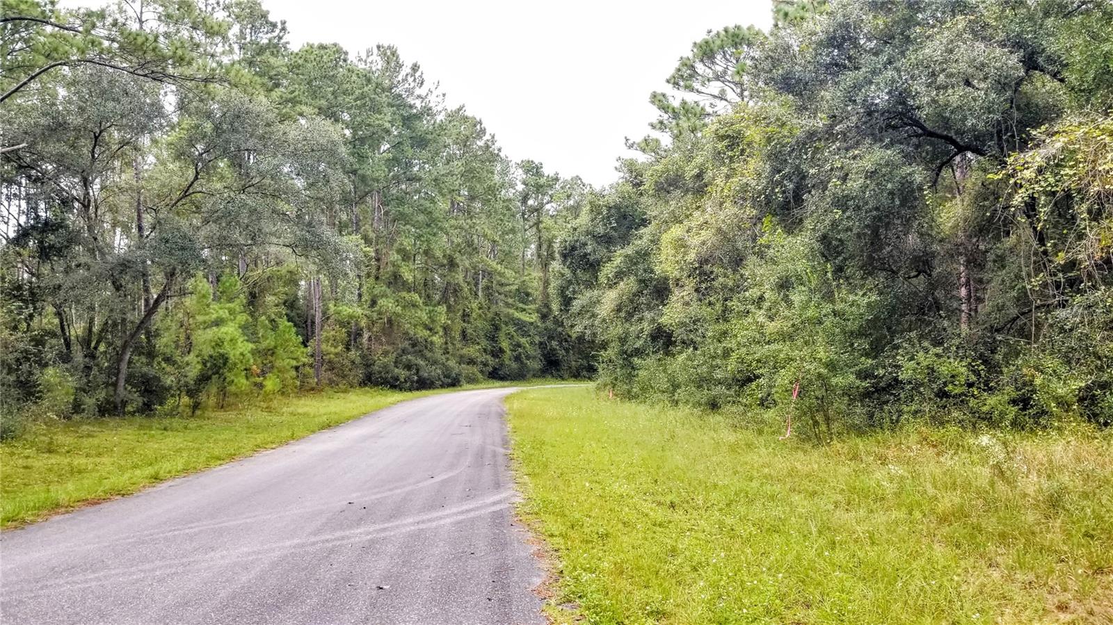 8881 N IRONDALE RD, CITRUS SPRINGS, FL, 34434