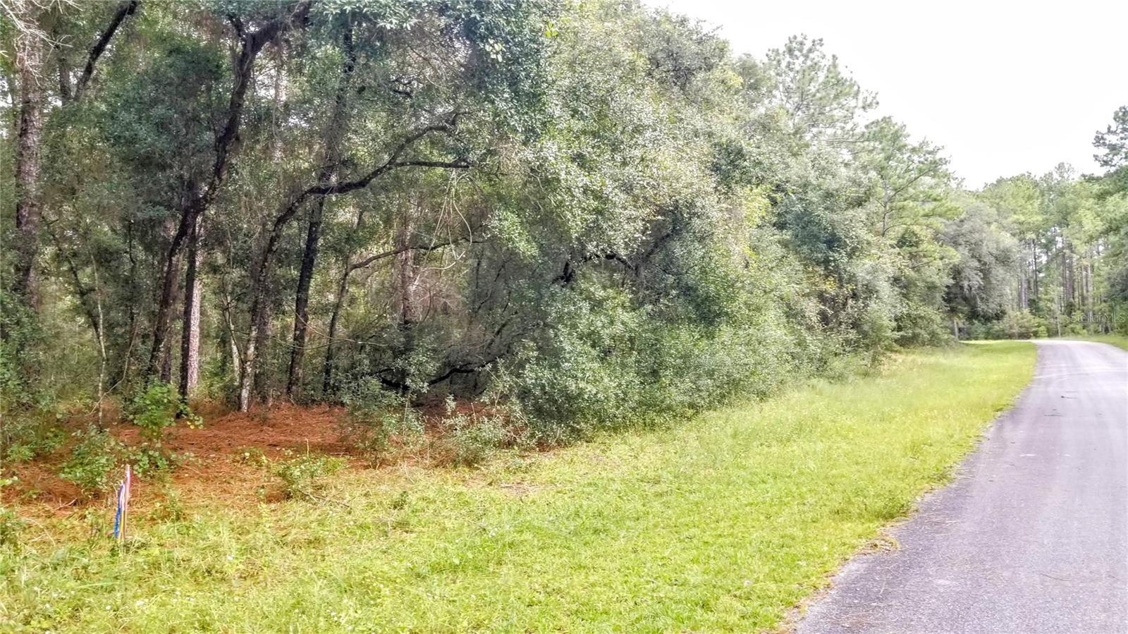 8881 N IRONDALE RD, CITRUS SPRINGS, FL, 34434