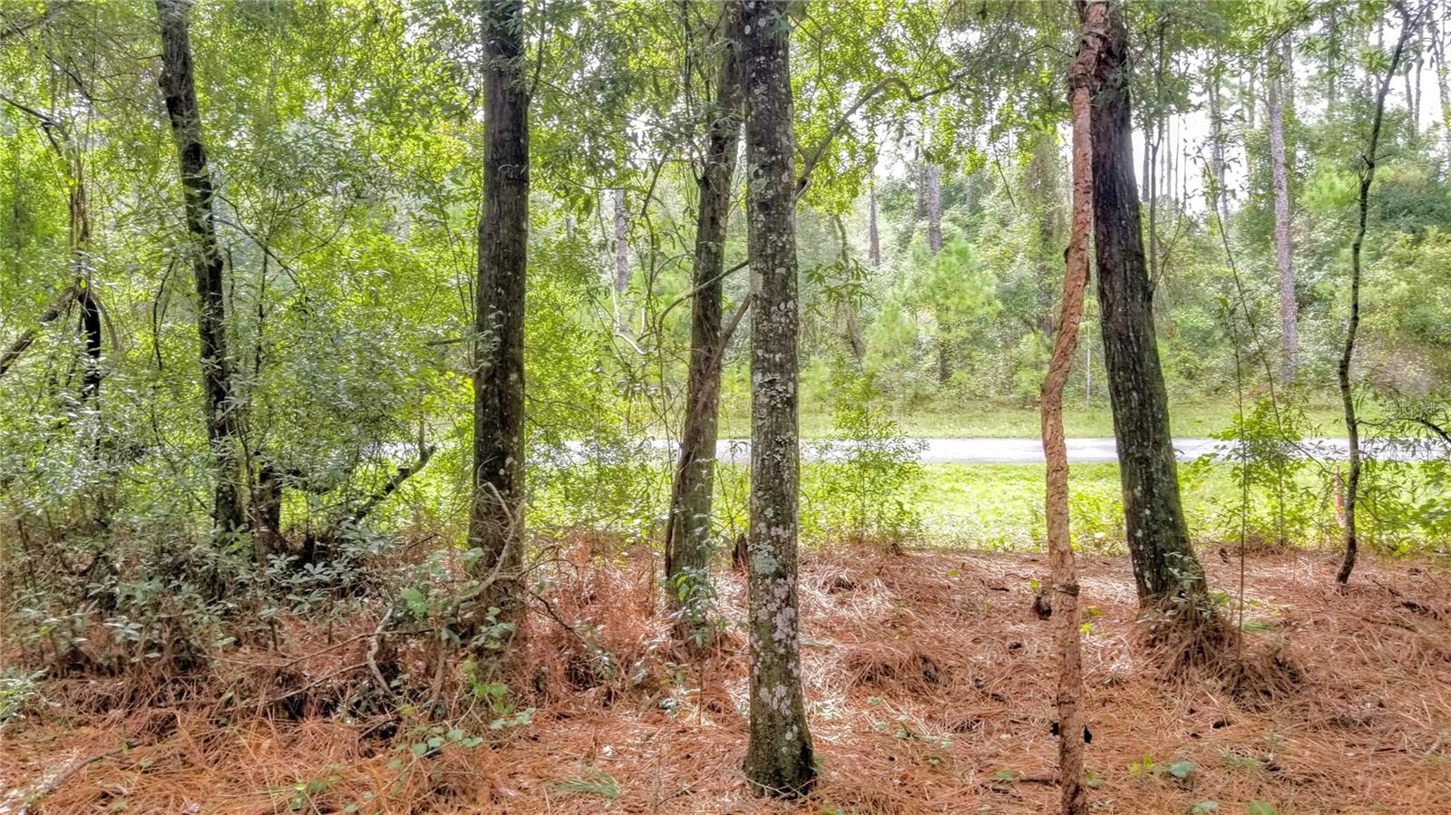 8881 N IRONDALE RD, CITRUS SPRINGS, FL, 34434