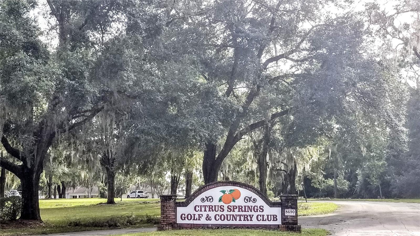 8881 N IRONDALE RD, CITRUS SPRINGS, FL, 34434