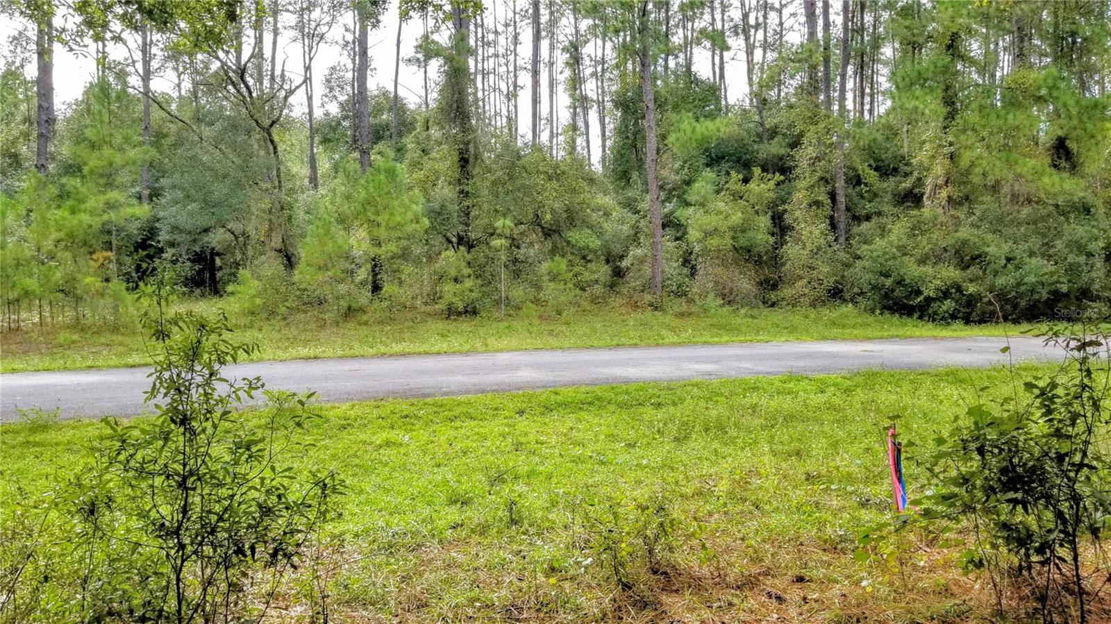 8881 N IRONDALE RD, CITRUS SPRINGS, FL, 34434