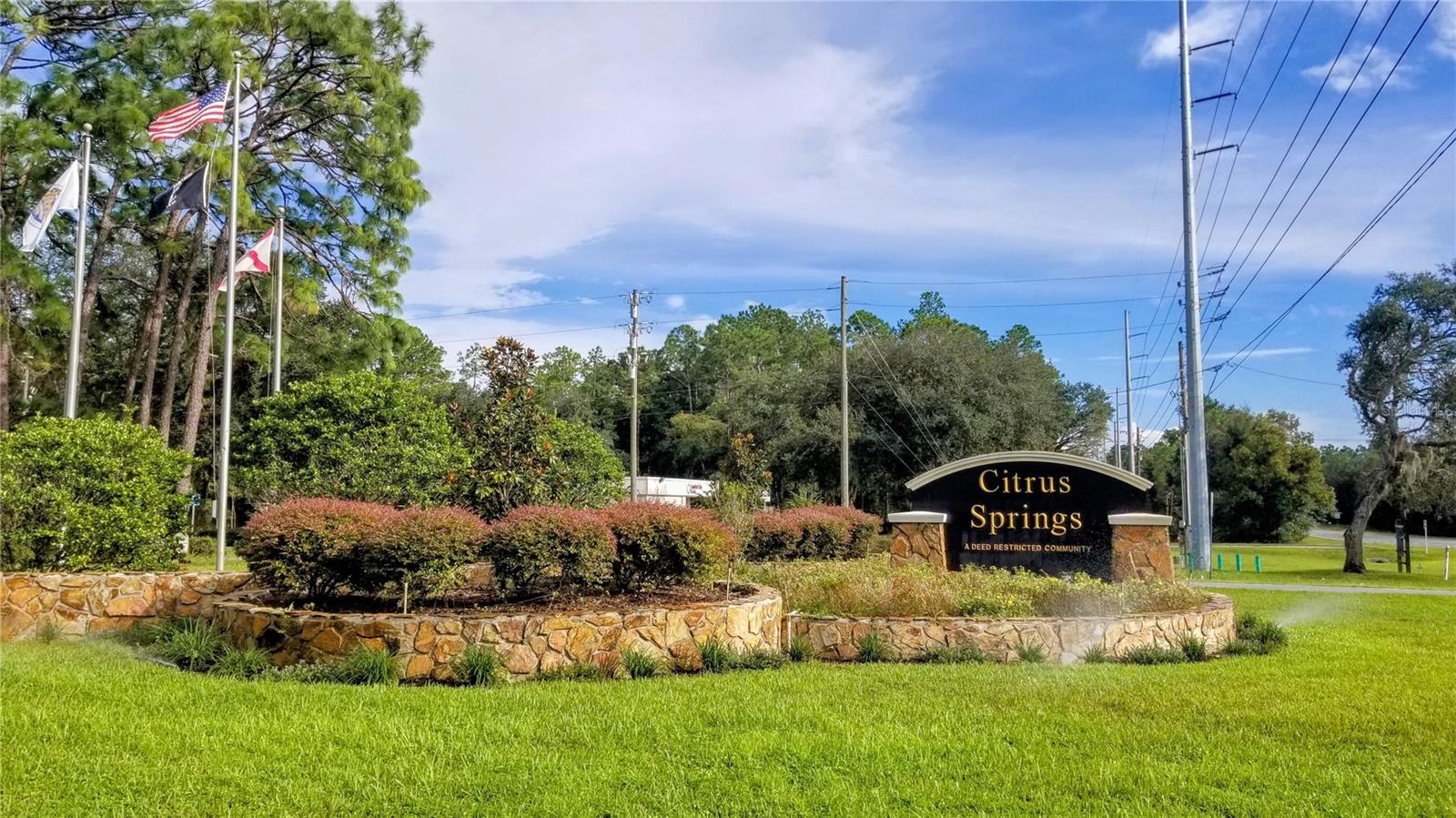 8881 N IRONDALE RD, CITRUS SPRINGS, FL, 34434