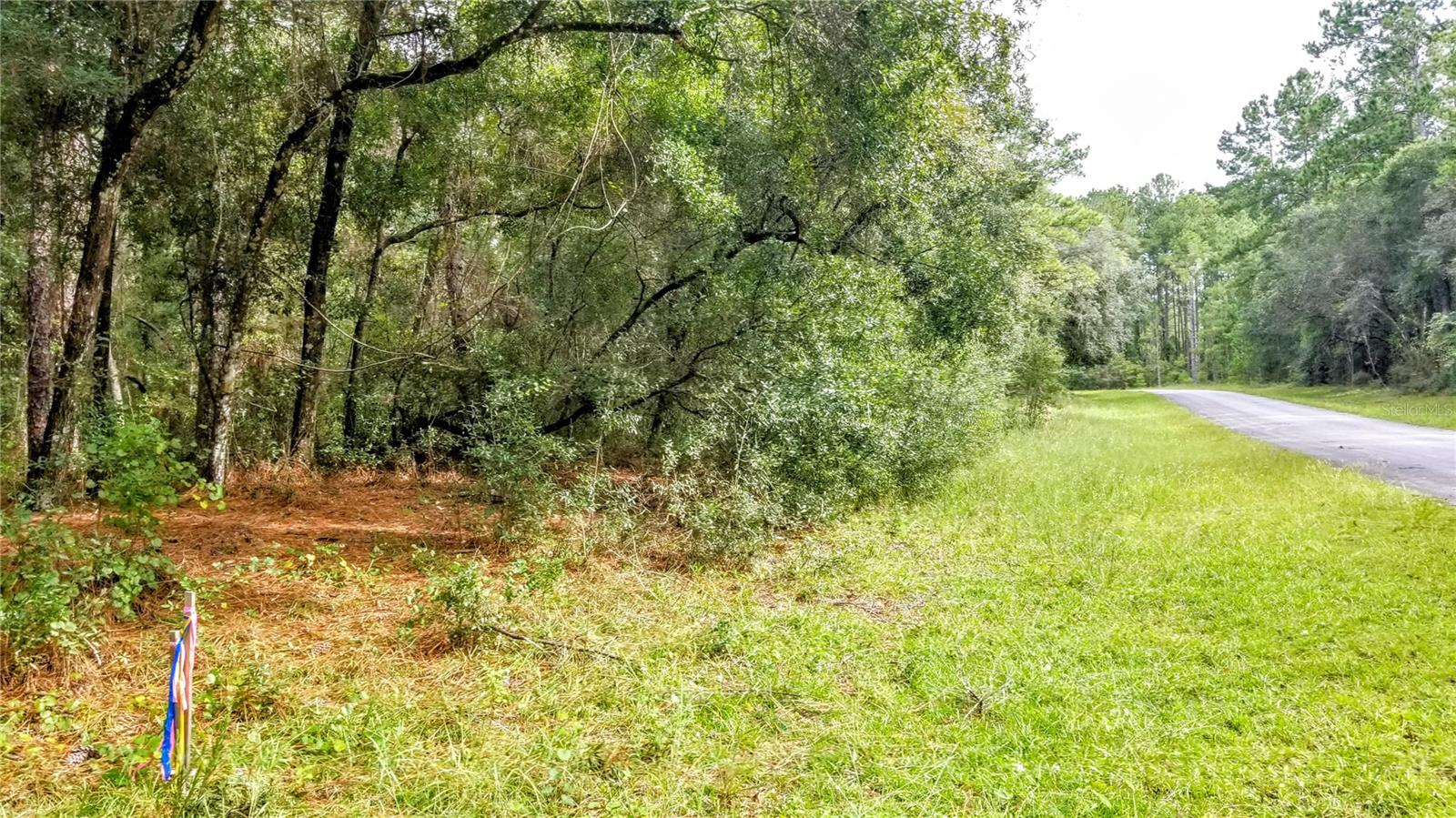 8881 N IRONDALE RD, CITRUS SPRINGS, FL, 34434