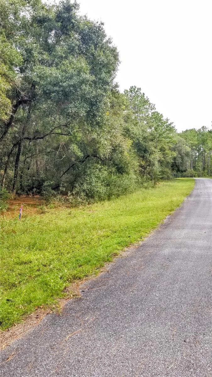 8881 N IRONDALE RD, CITRUS SPRINGS, FL, 34434