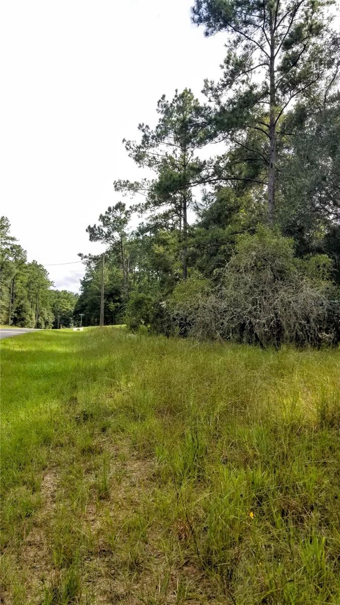 8844 N LILY DR, CITRUS SPRINGS, FL, 34434