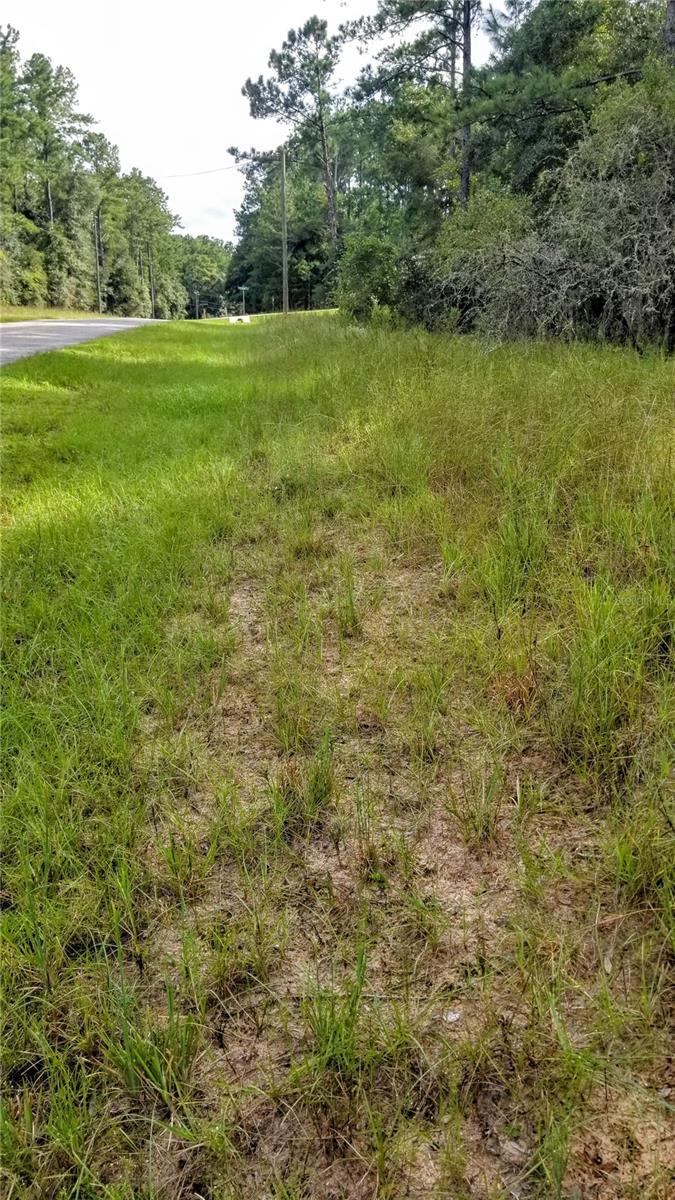 8844 N LILY DR, CITRUS SPRINGS, FL, 34434