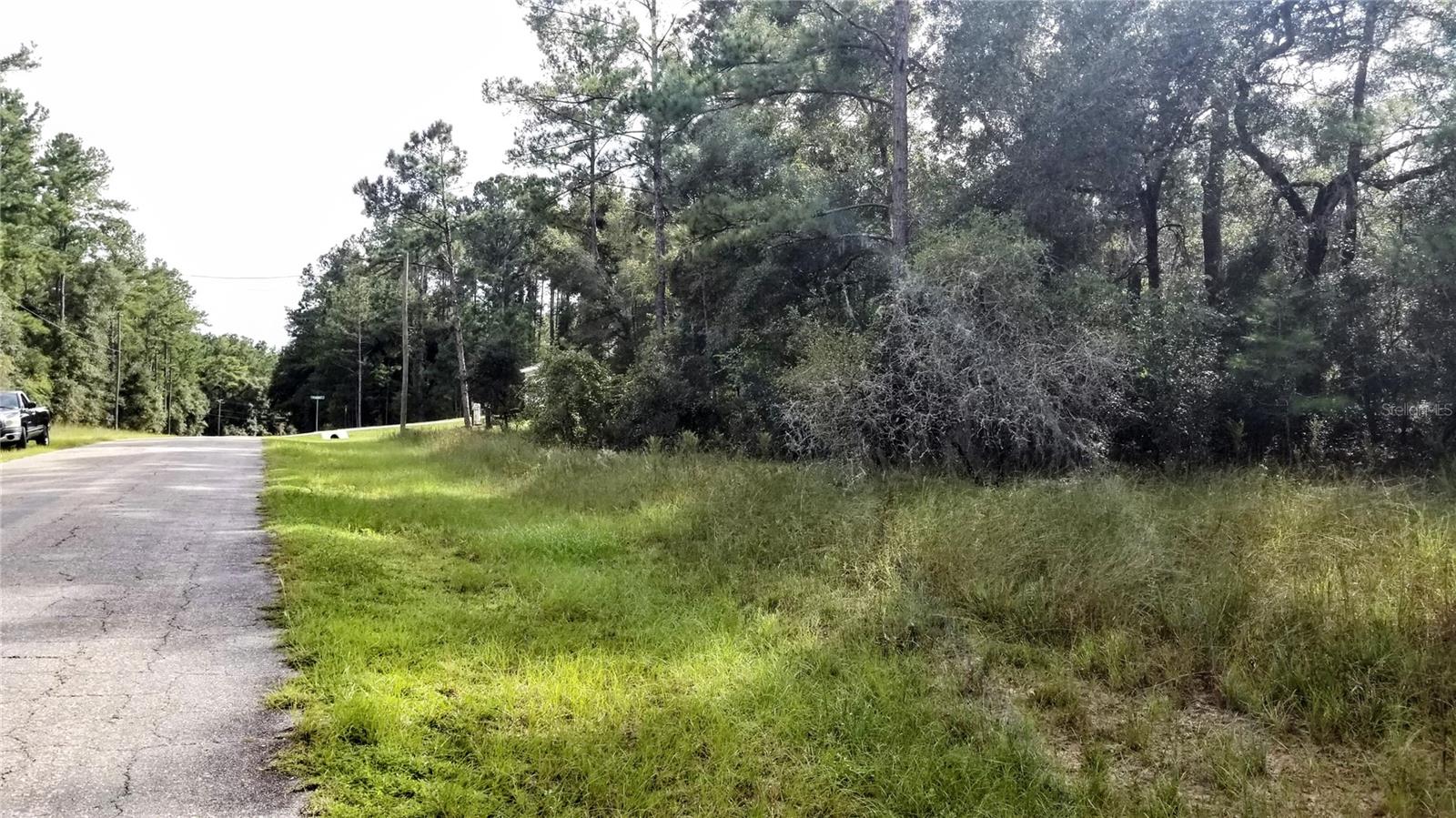 8844 N LILY DR, CITRUS SPRINGS, FL, 34434