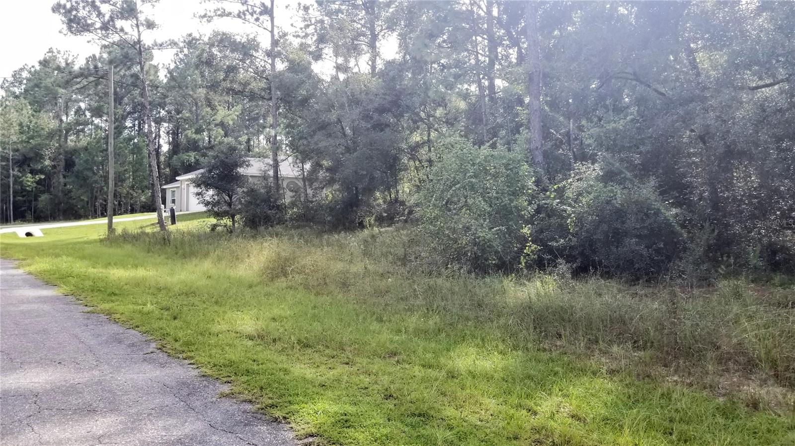 8844 N LILY DR, CITRUS SPRINGS, FL, 34434