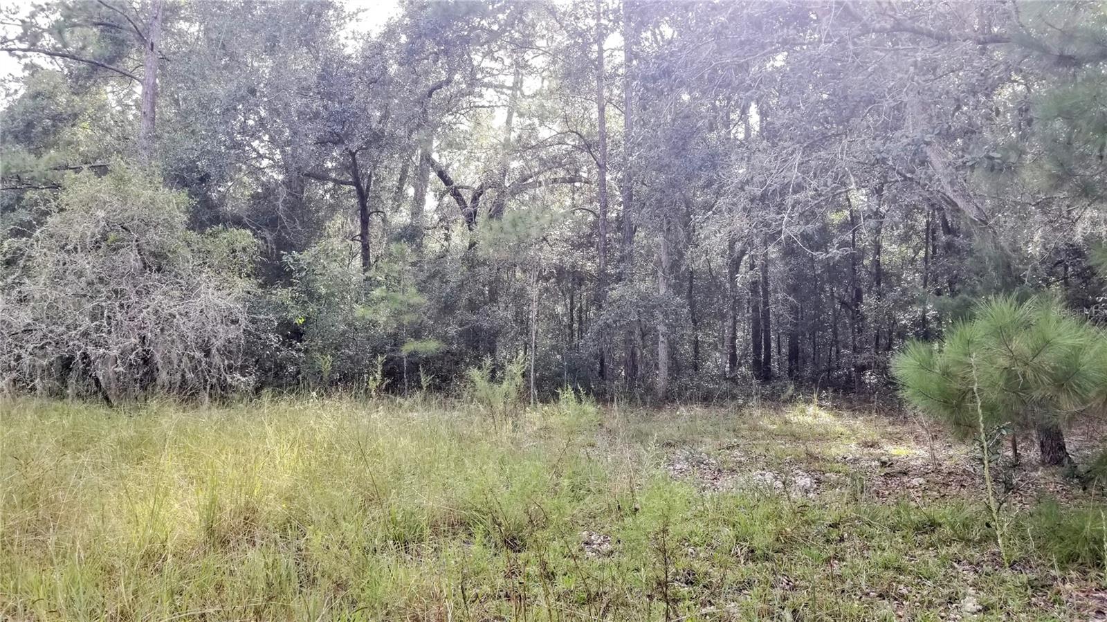 8844 N LILY DR, CITRUS SPRINGS, FL, 34434