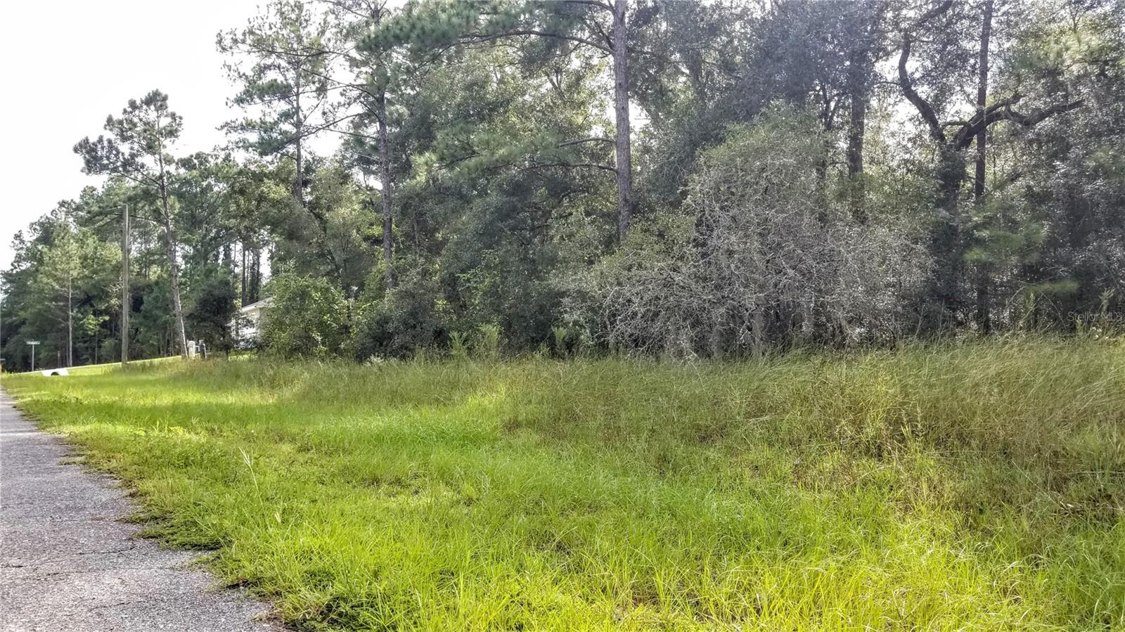 8844 N LILY DR, CITRUS SPRINGS, FL, 34434