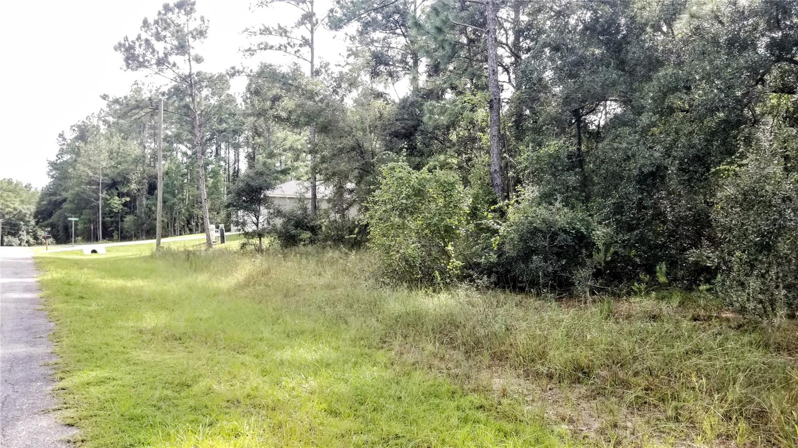 8844 N LILY DR, CITRUS SPRINGS, FL, 34434