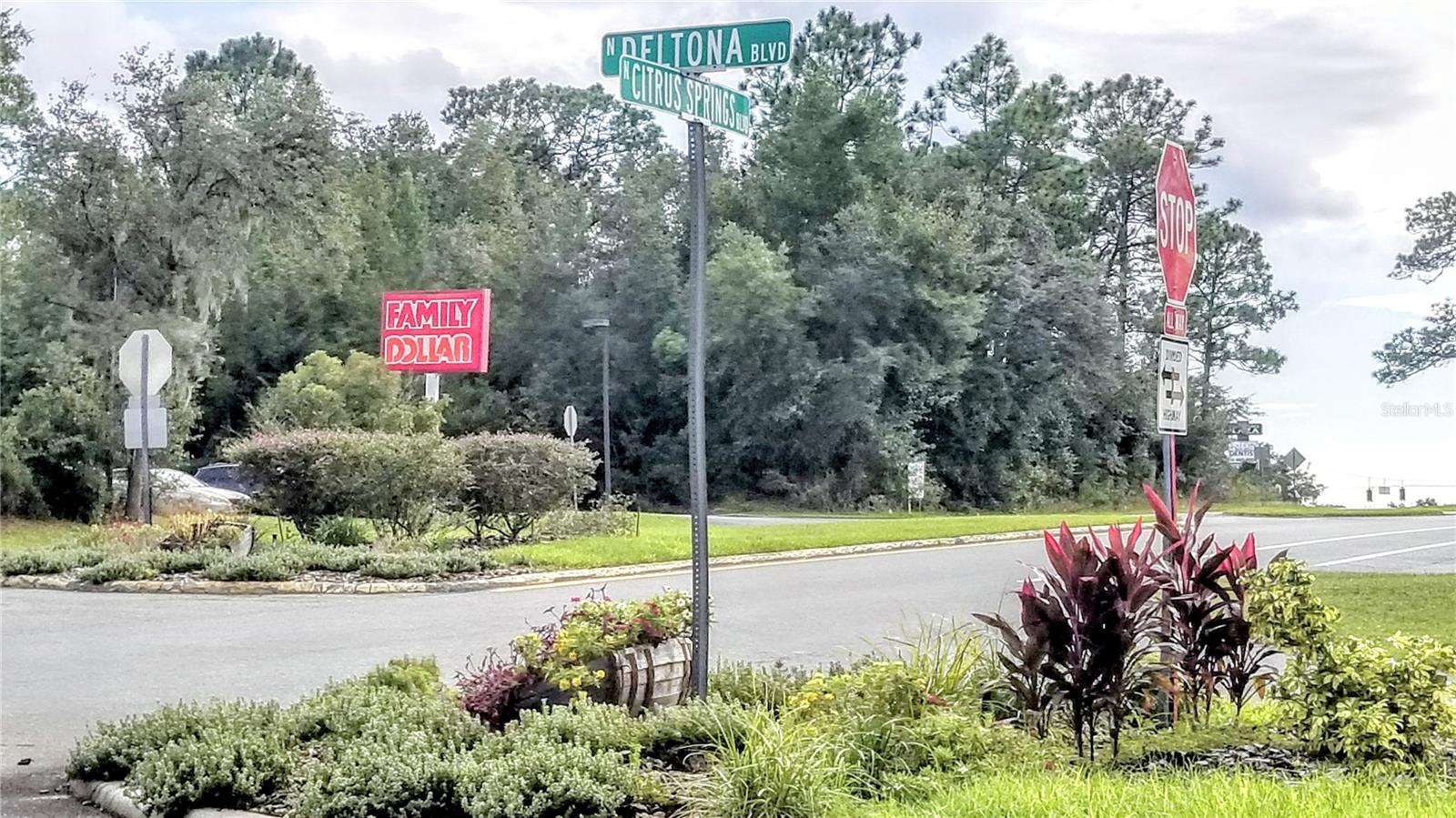 8844 N LILY DR, CITRUS SPRINGS, FL, 34434